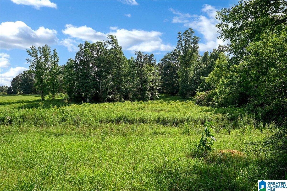 Homes for sale in Cullman, AL | 0 County Road 783, Cullman, AL 35055 | MLS# 21456660