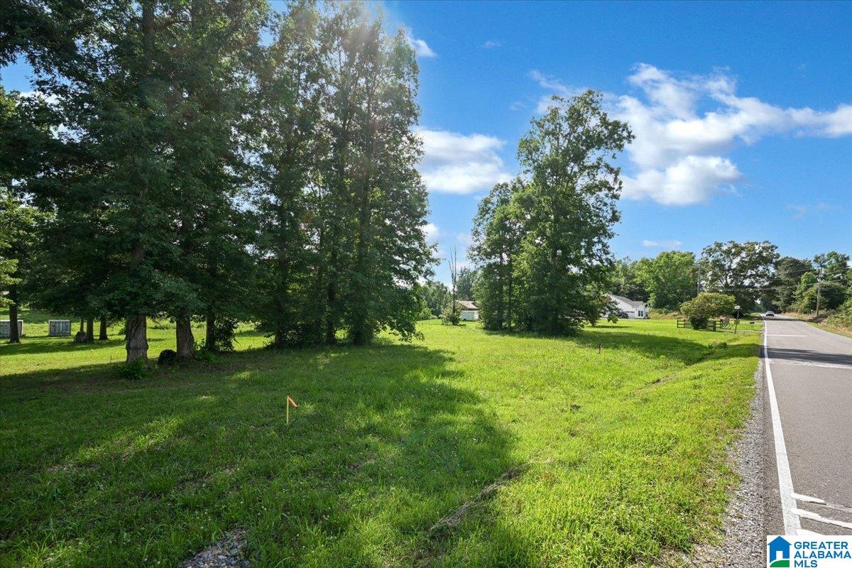 Homes for sale in Cullman, AL | 0 County Road 783, Cullman, AL 35055 | MLS# 21456660