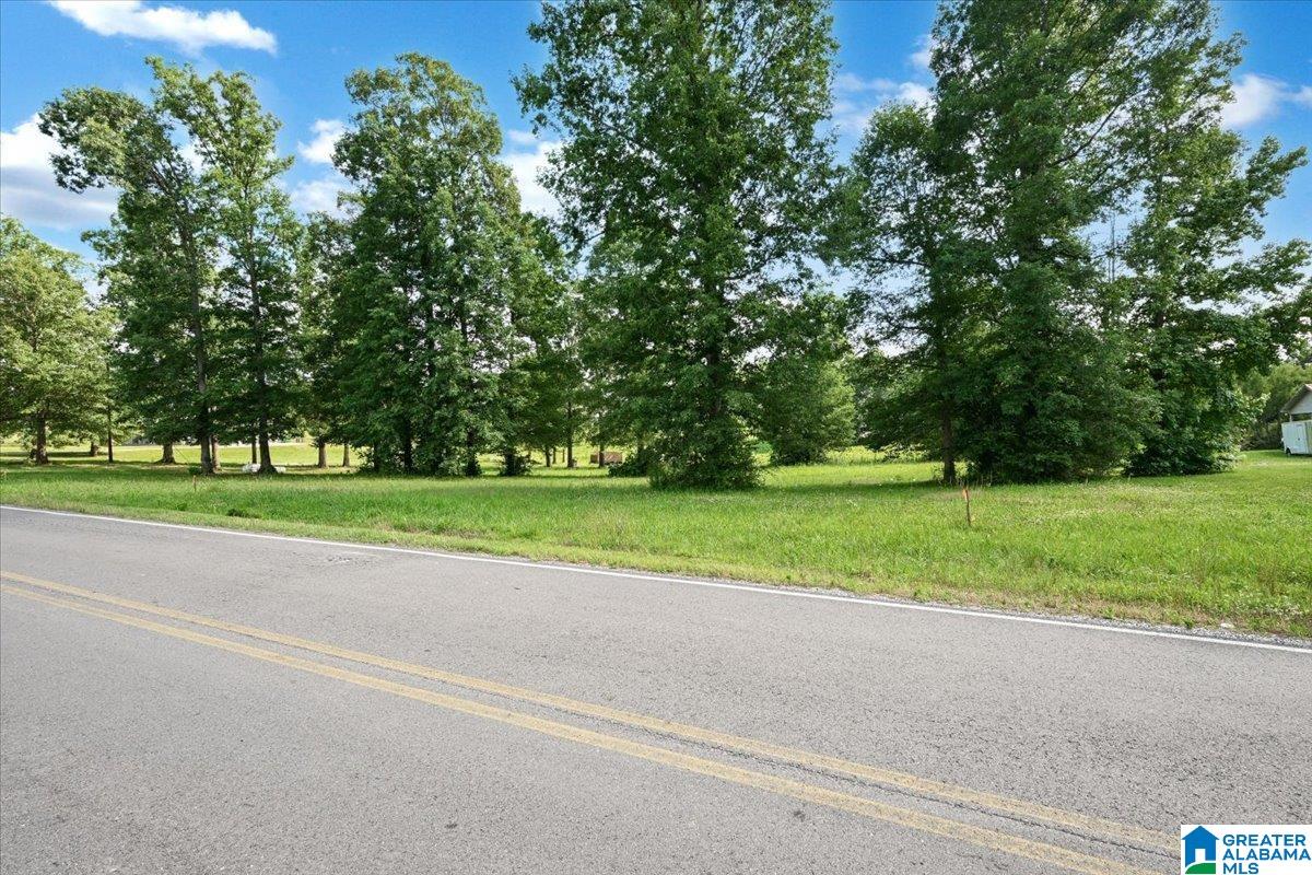 Homes for sale in Cullman, AL | 0 County Road 783, Cullman, AL 35055 | MLS# 21456660