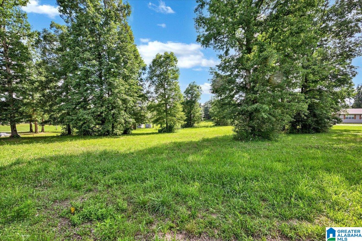 Homes for sale in Cullman, AL | 0 County Road 783, Cullman, AL 35055 | MLS# 21456660