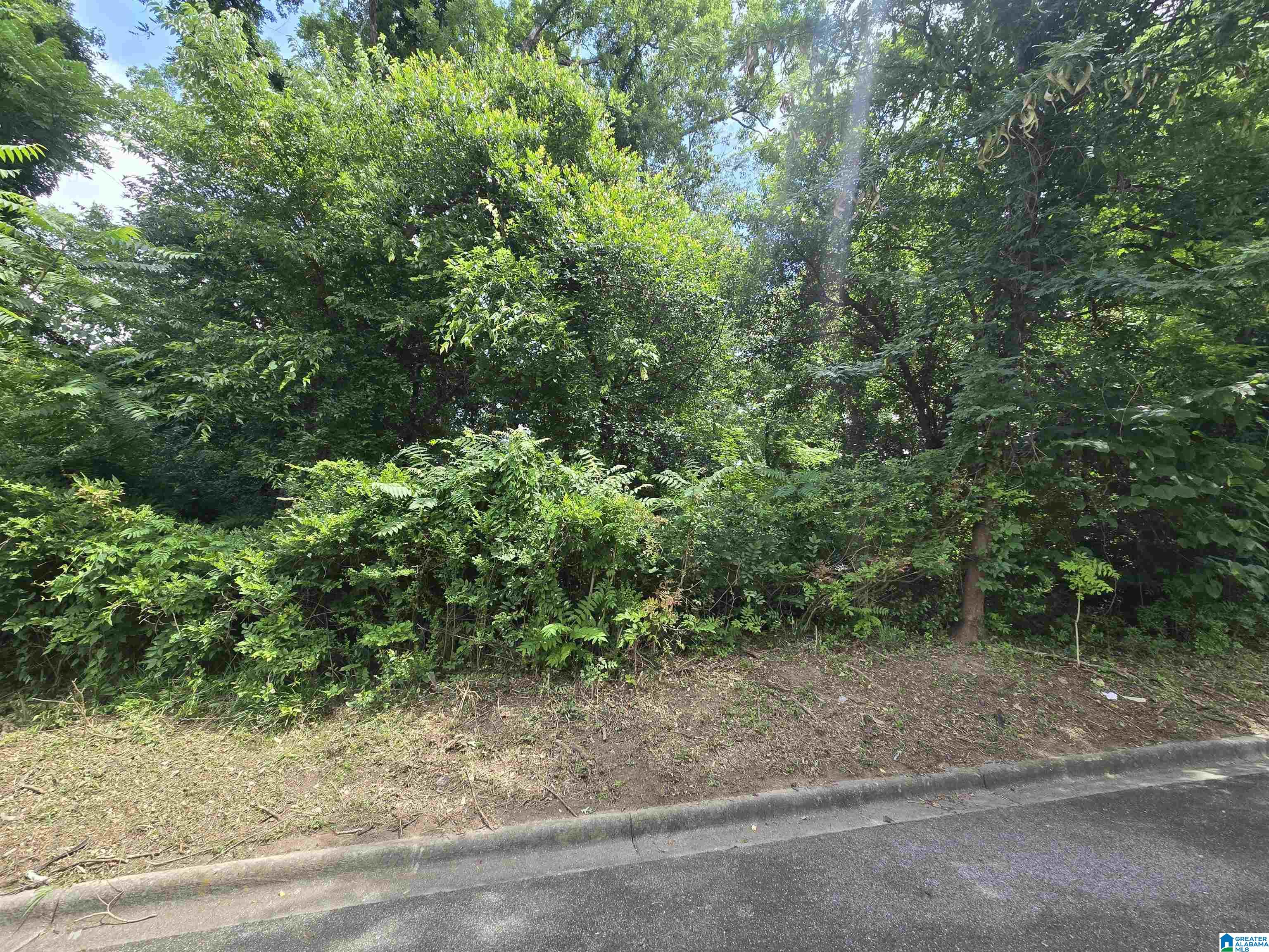 Homes for sale in Homewood, AL | 2511 17th Pl S, Homewood, AL 35209 | MLS# 21456681