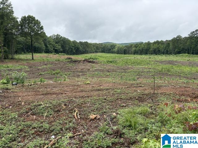 13 acres HIGHWAY 280