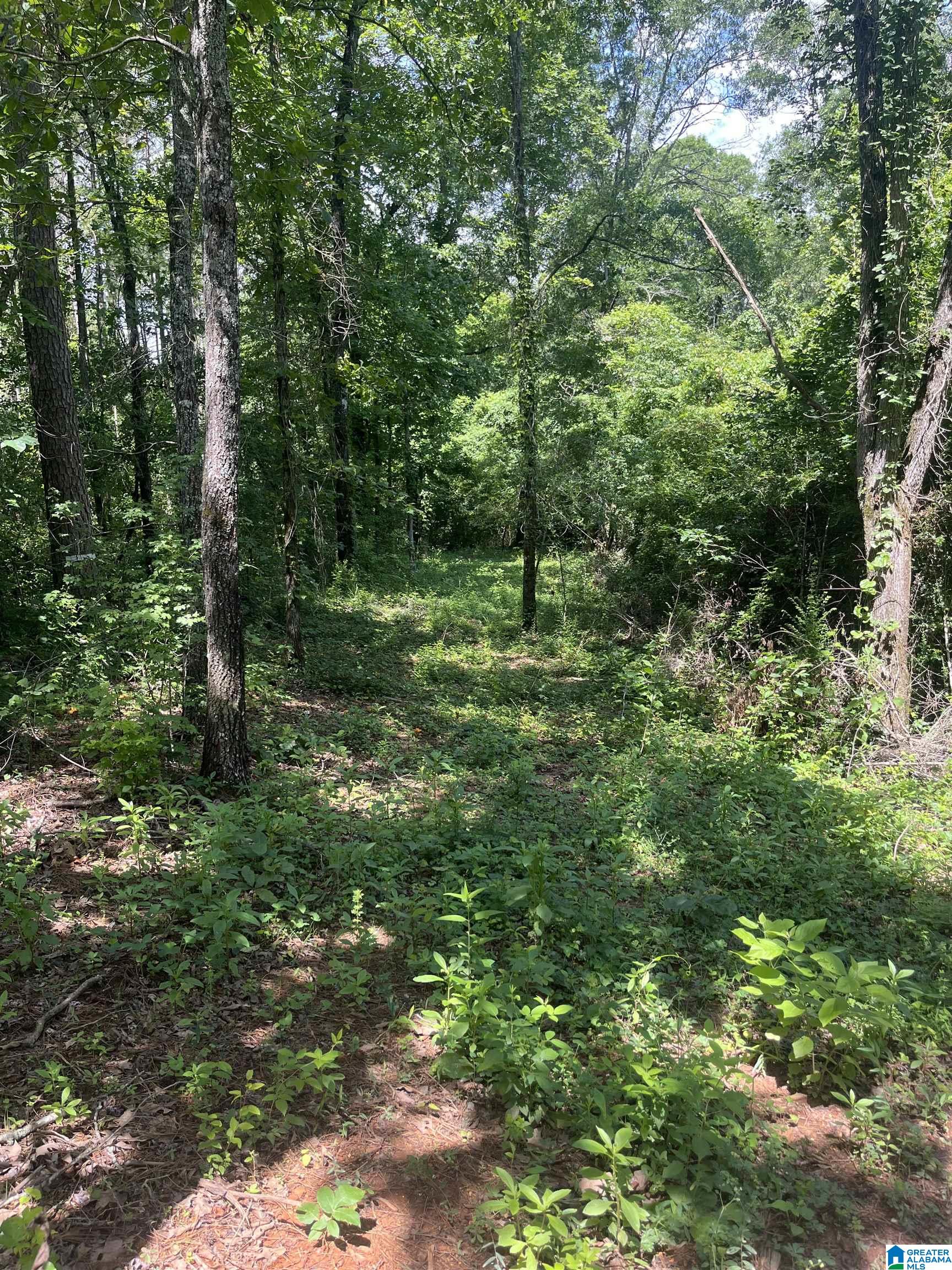 385 CARR ROAD