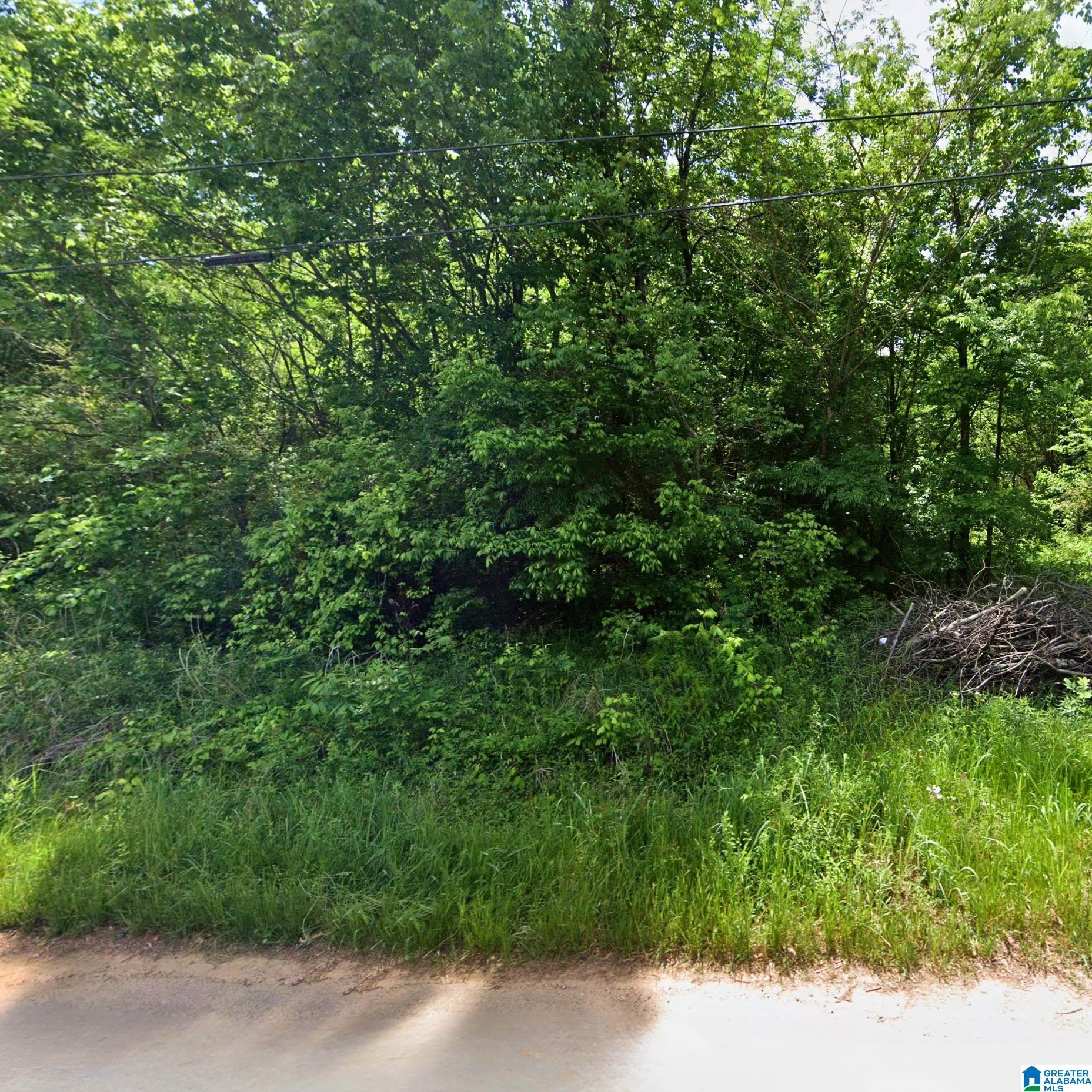 Photo 1 of Land for sale at 224 Pine St Sw, Bessemer, AL 35022 | MLS# 21456932 | Listing updated on 2026-06-23