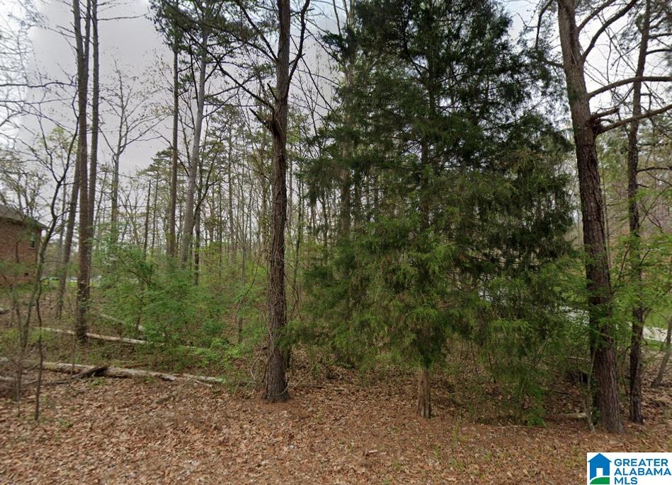 1st image of 0 Woodland Avenue, Pinson, AL 35126 | MLS# 21456940