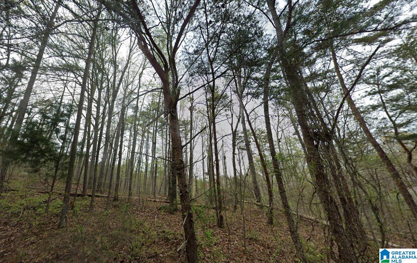 2nd image of 0 Woodland Avenue, Pinson, AL 35126 | MLS# 21456940