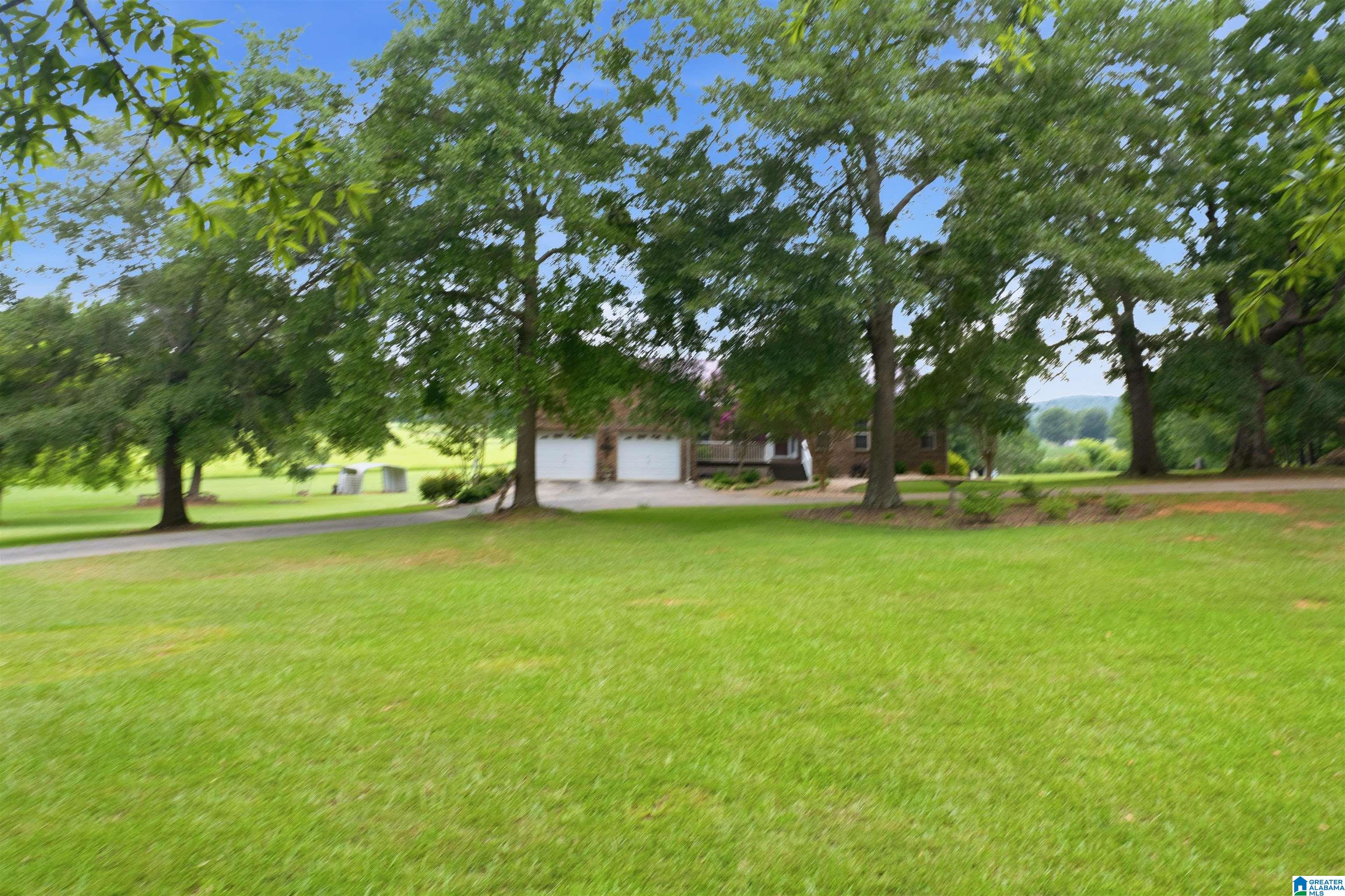 4th image of 4495 Odena Road North, Alpine, AL 35014 | MLS# 21456979