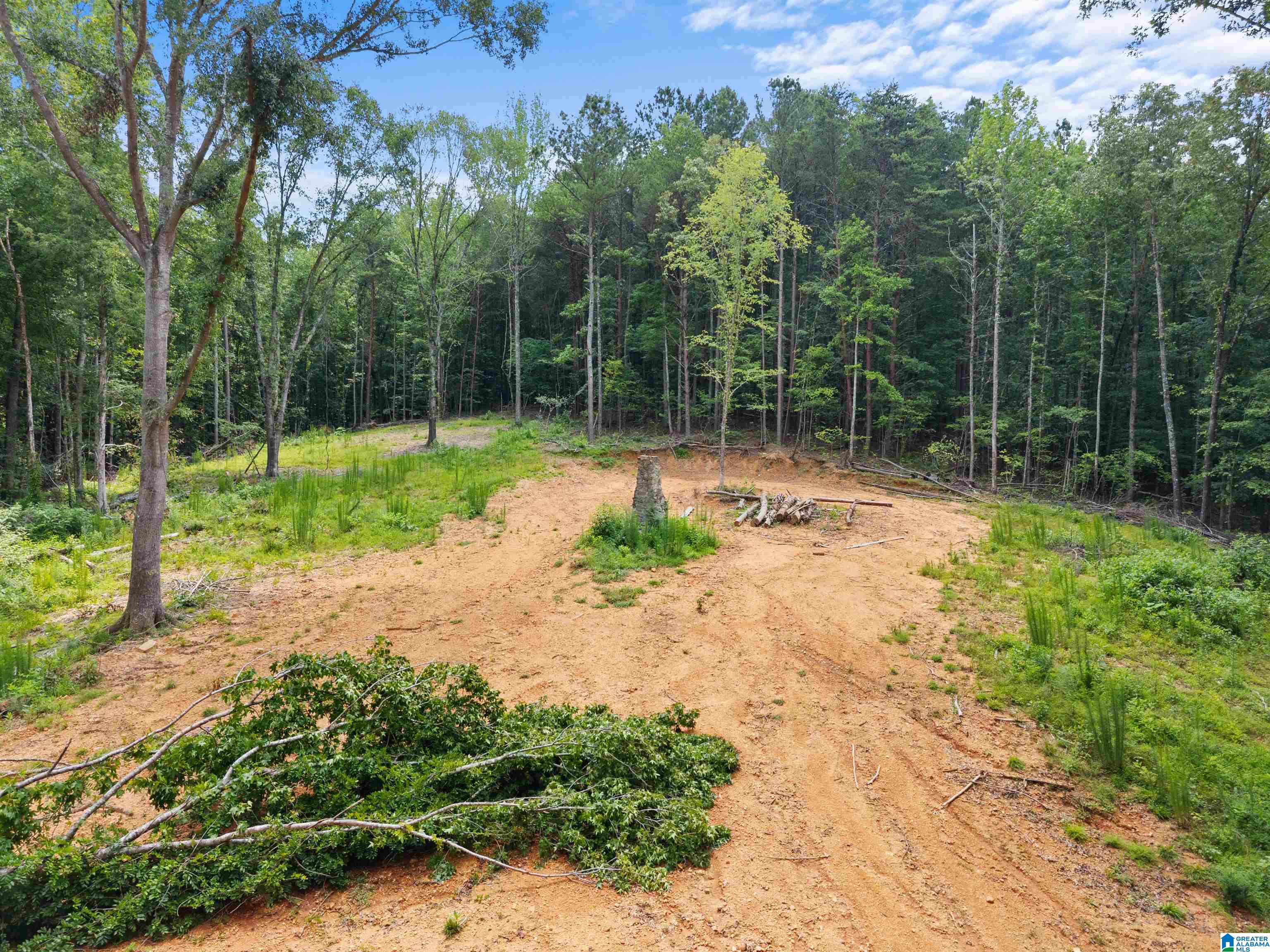 1st image of 9777 Railroad Road, Pinson, AL 35126 | MLS# 21457044