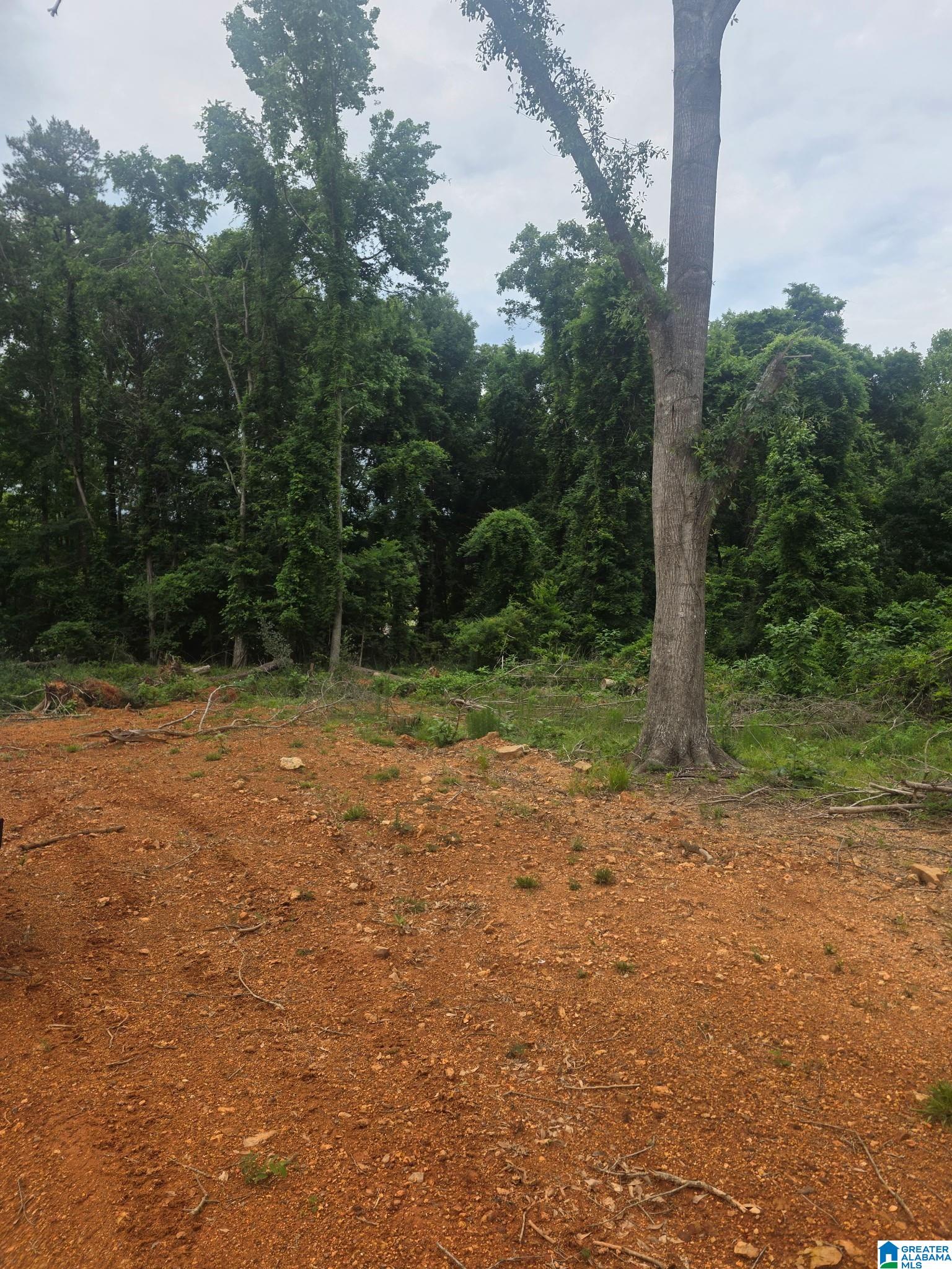 12th image of 9777 Railroad Road, Pinson, AL 35126 | MLS# 21457044