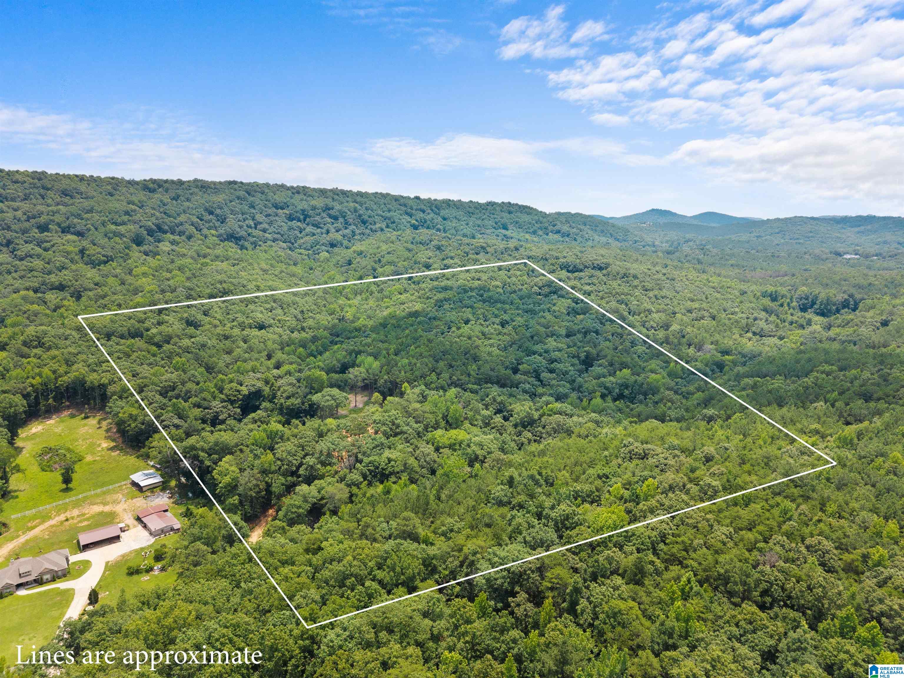 5th image of 9777 Railroad Road, Pinson, AL 35126 | MLS# 21457044