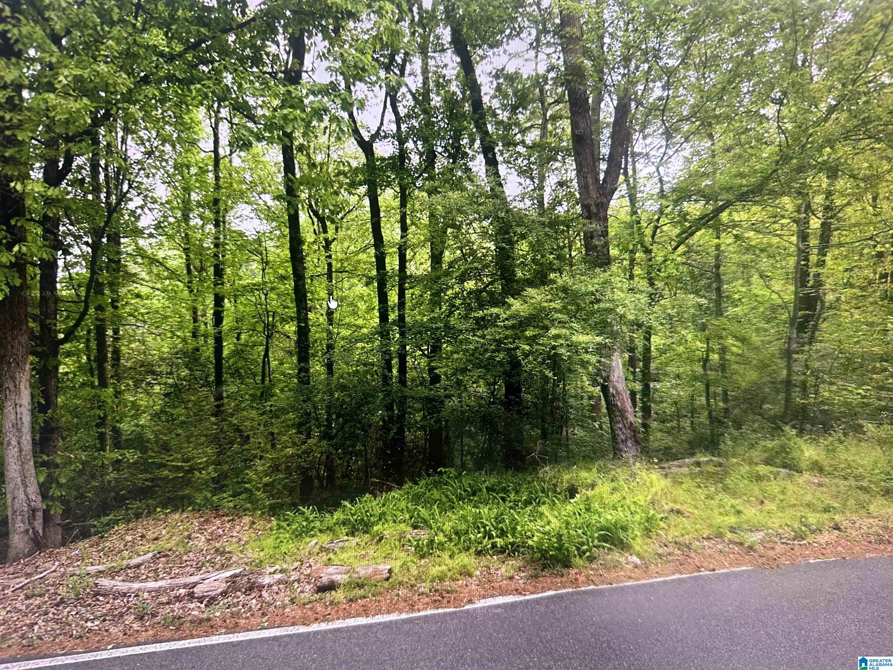 1753 BIG MOUNTAIN DRIVE