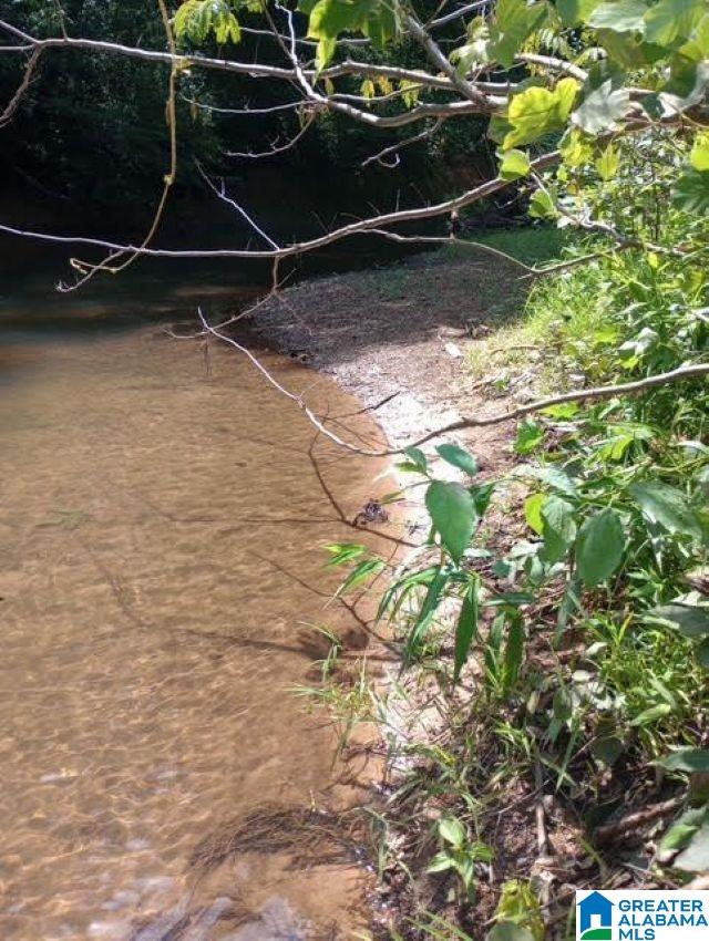 3rd image of 5100 Washington Valley Road, Springville, AL 35146 | MLS# 21457298