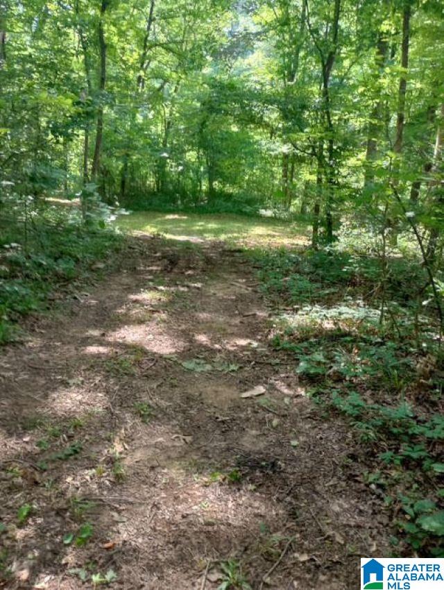 20th image of 5100 Washington Valley Road, Springville, AL 35146 | MLS# 21457298