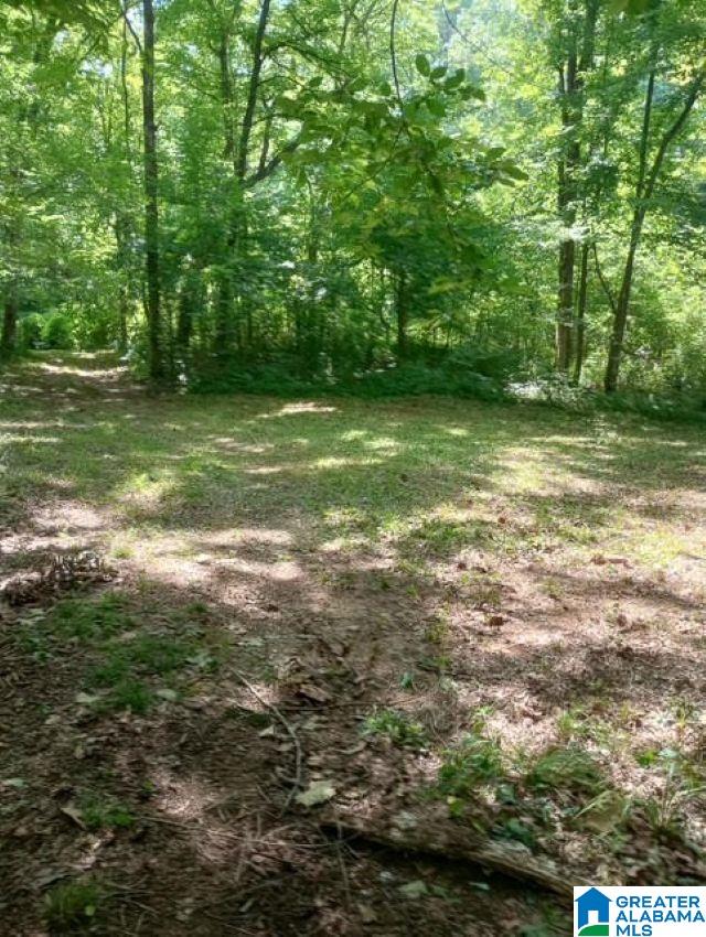 4th image of 5100 Washington Valley Road, Springville, AL 35146 | MLS# 21457298