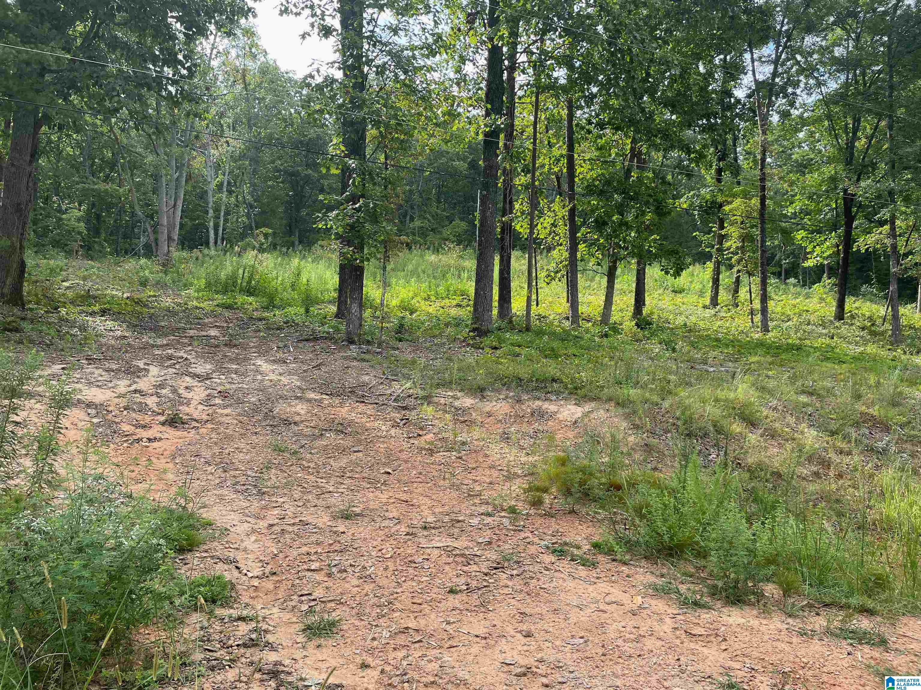 1st image of 495 Anderson Mtn Dr, Odenville, AL 35120 | MLS# 21457364