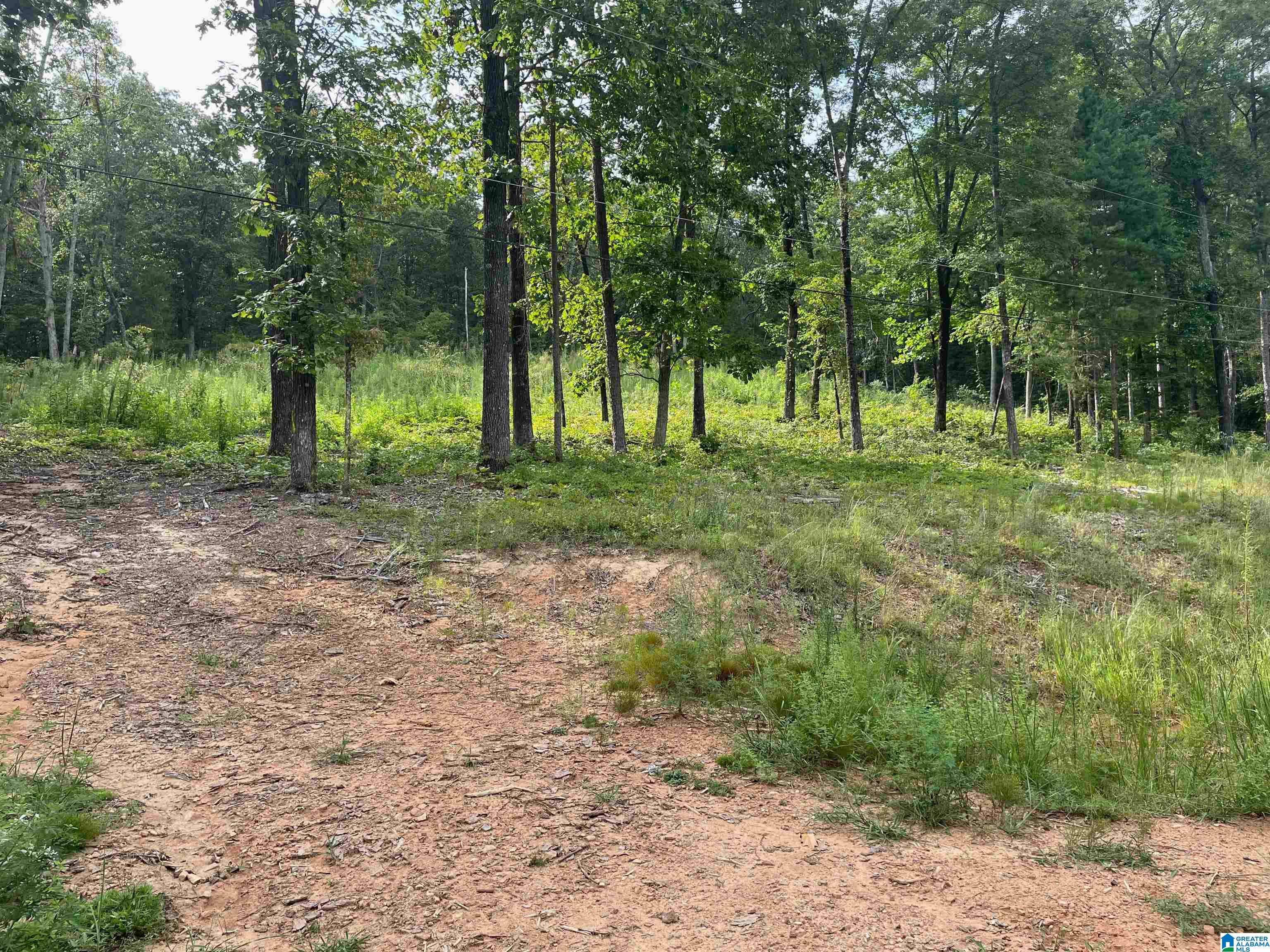 2nd image of 495 Anderson Mtn Dr, Odenville, AL 35120 | MLS# 21457364