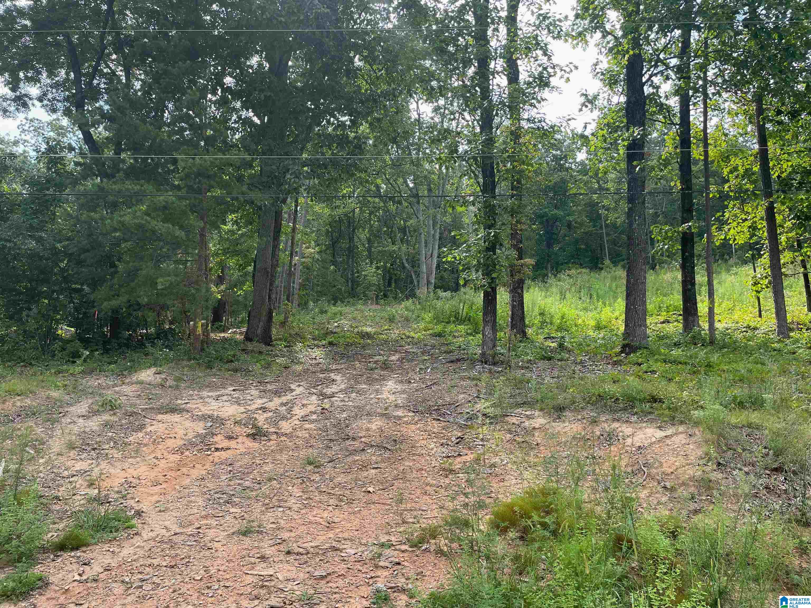 Photo 3 of Land for sale at 495 Anderson Mtn Dr, Odenville, AL 35120 | MLS# 21457364 | Listing updated on 2026-06-26