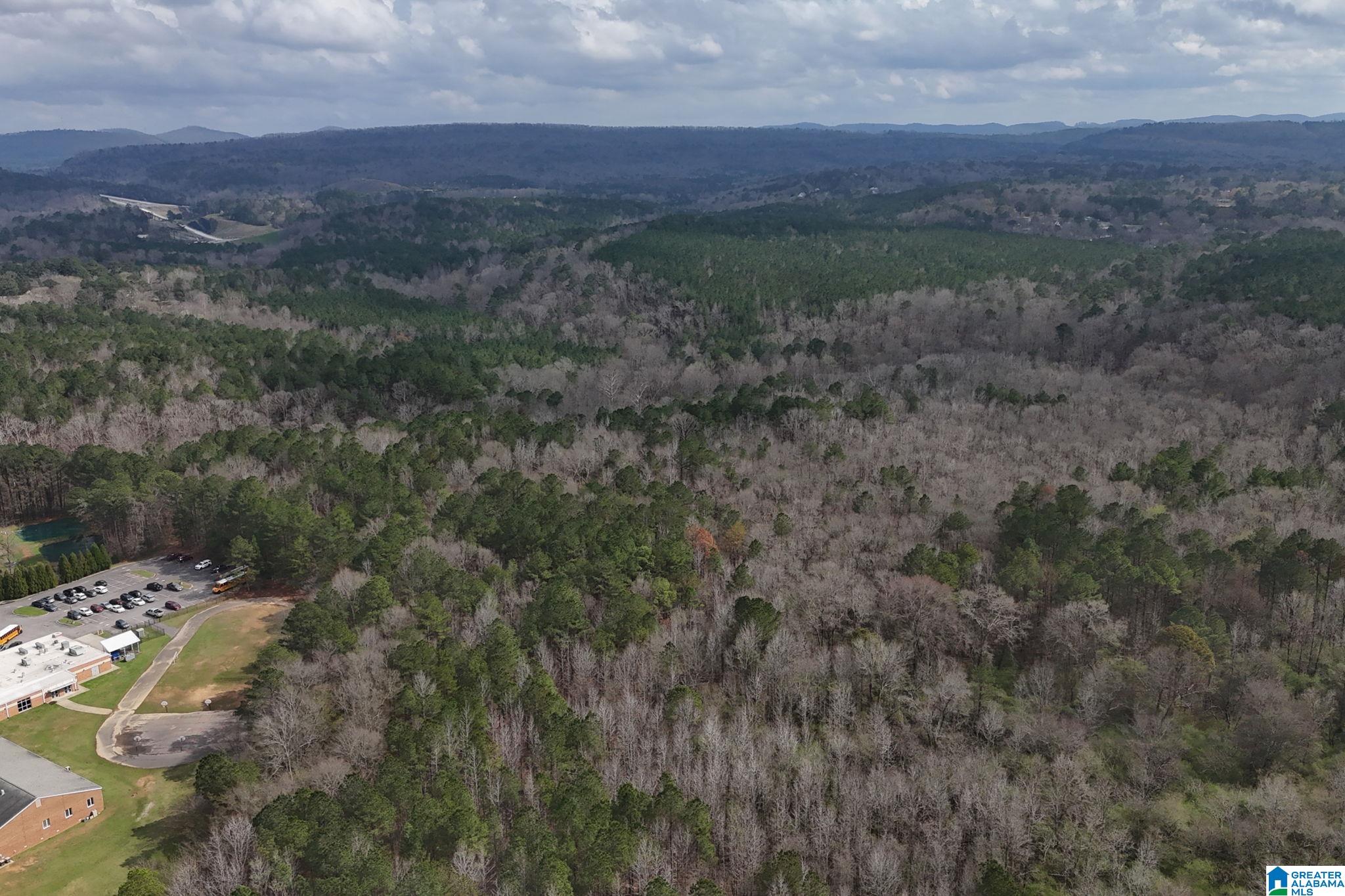 Photo 3 of Land for sale at 8260 Kermit Johnson Rd, Pinson, AL 35126 | MLS# 21457374 | Listing updated on 2026-09-14
