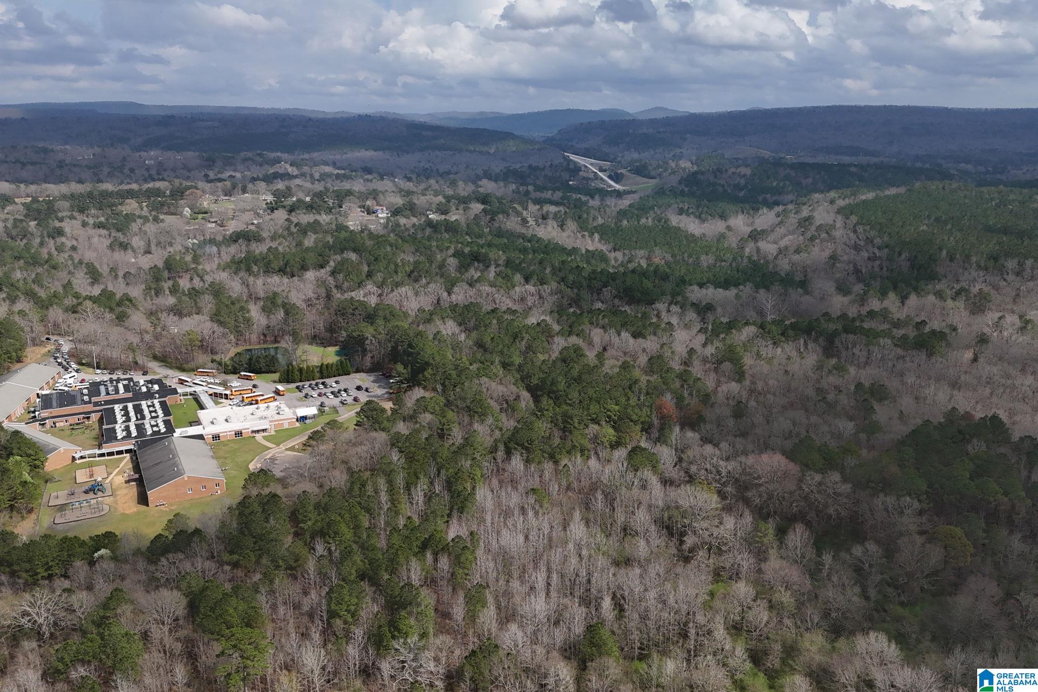 Photo 4 of Land for sale at 8260 Kermit Johnson Rd, Pinson, AL 35126 | MLS# 21457374 | Listing updated on 2026-09-14