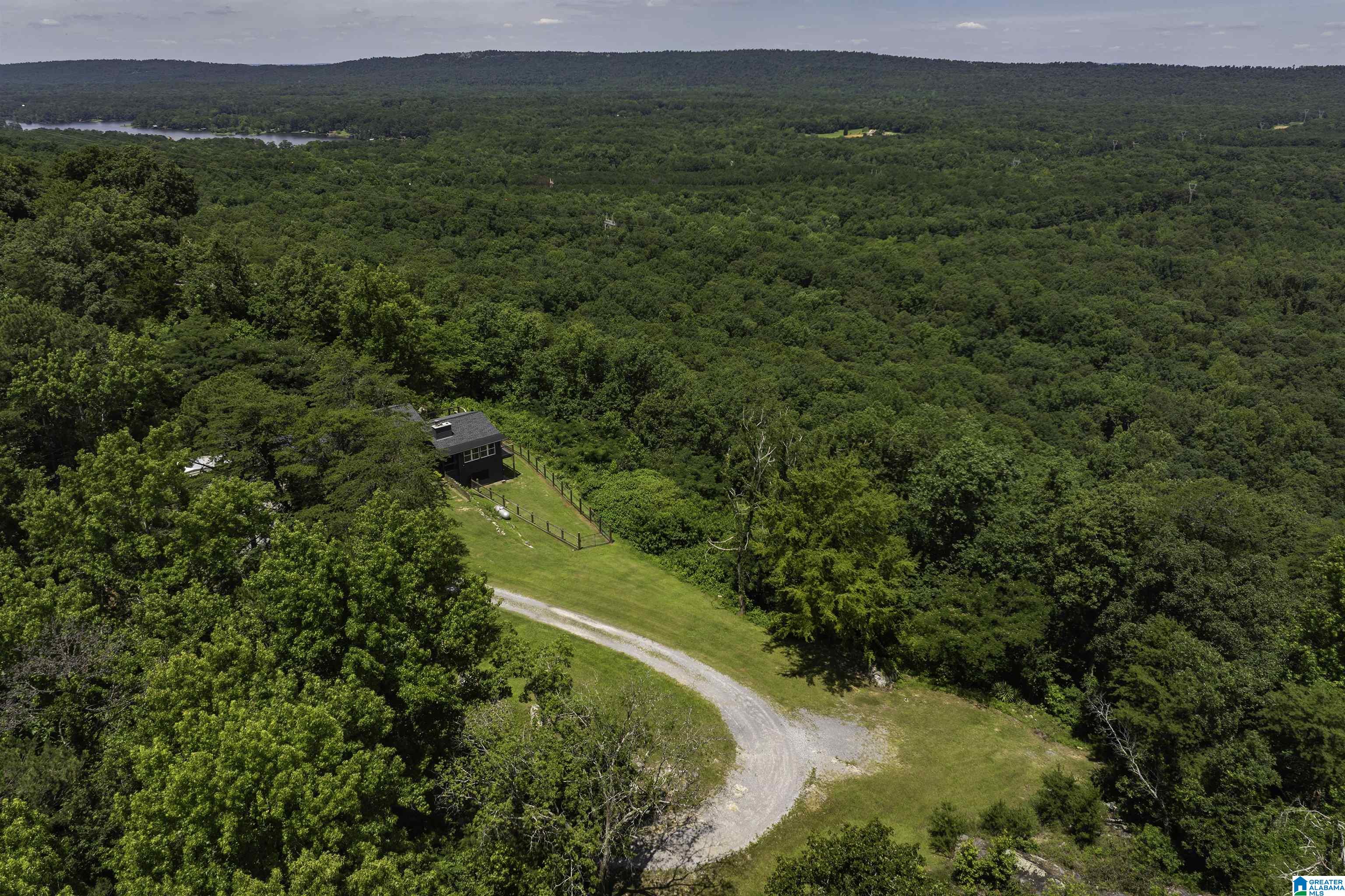 40th image of 40 Lake View Circle, Vandiver, AL 35176 | MLS# 21457495