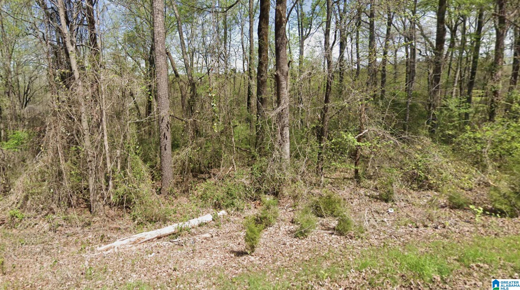 317 HILLTOP ROAD