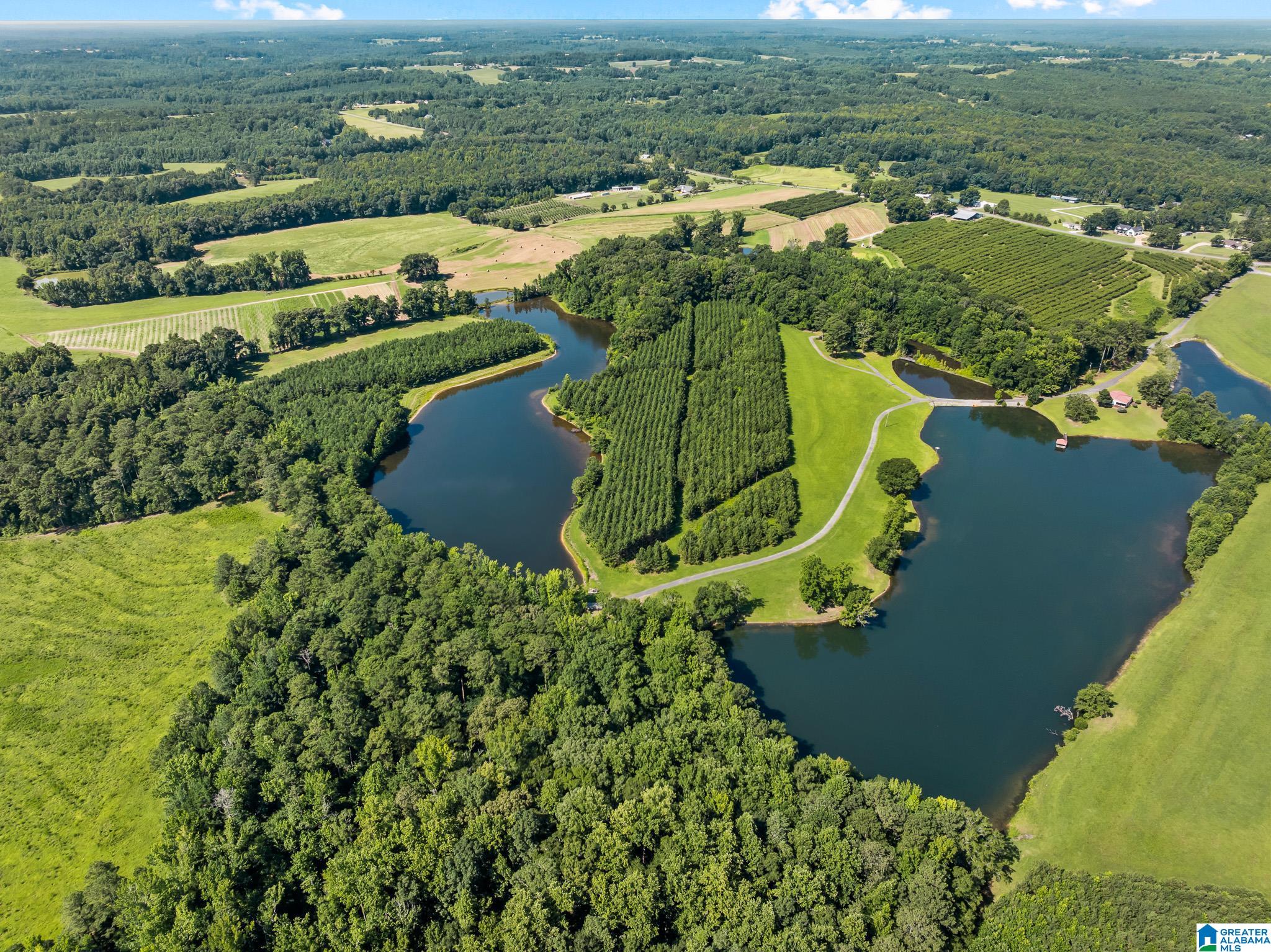 2nd image of 2069 County Road 47, Clanton, AL 35045 | MLS# 21457738