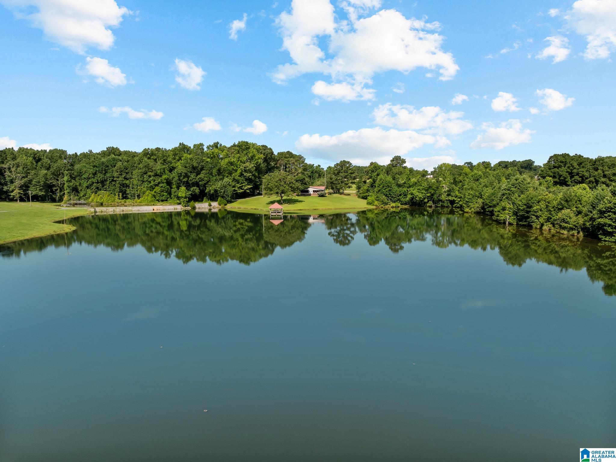 4th image of 2069 County Road 47, Clanton, AL 35045 | MLS# 21457738