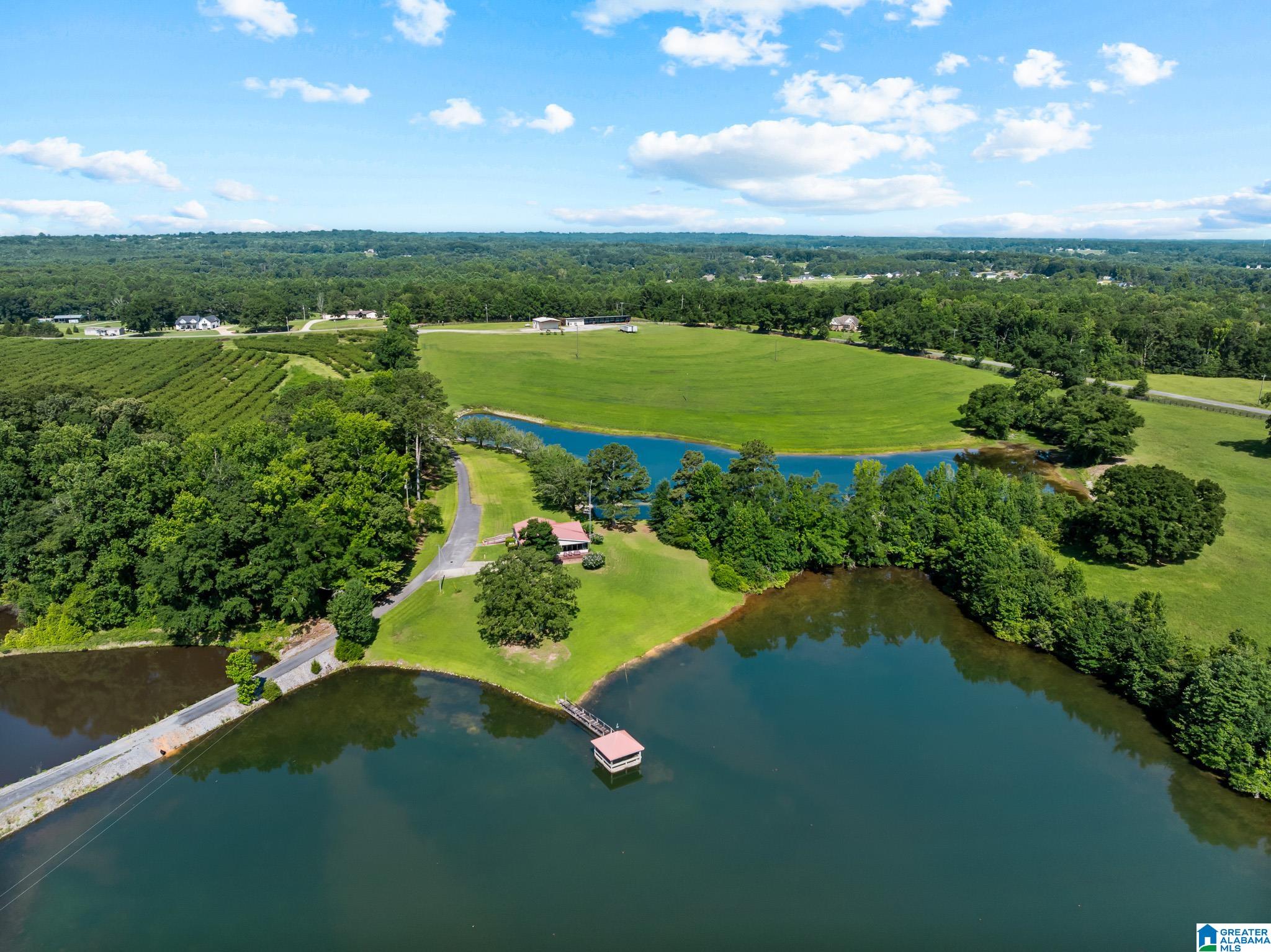 5th image of 2069 County Road 47, Clanton, AL 35045 | MLS# 21457738
