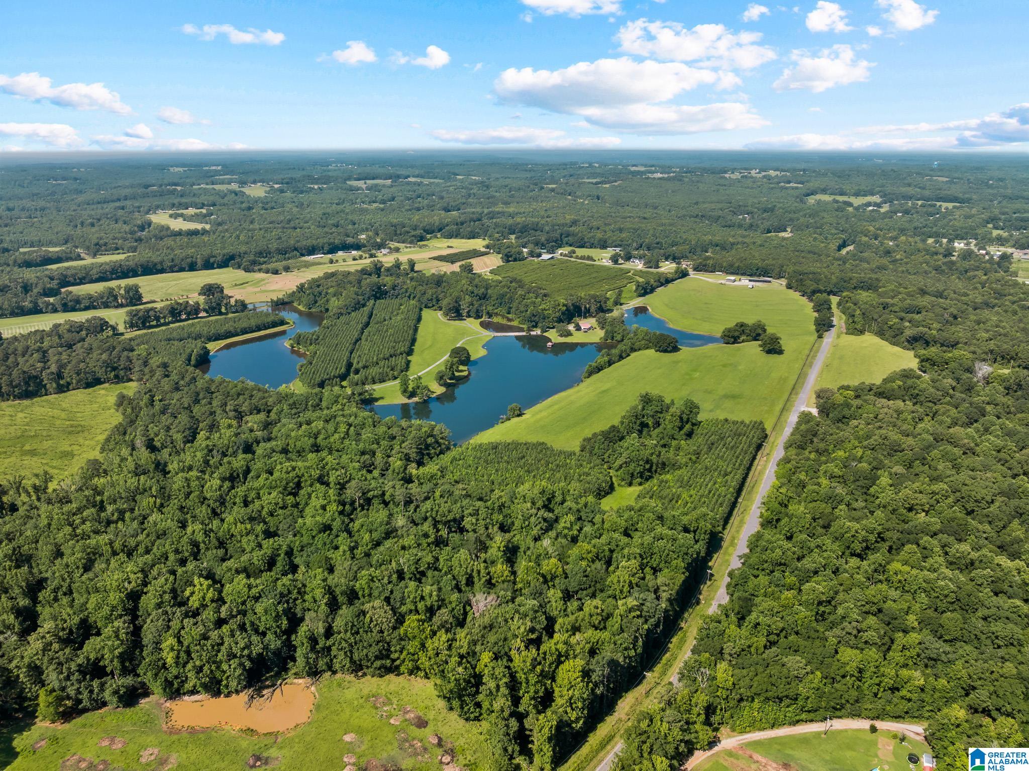 85th image of 2069 County Road 47, Clanton, AL 35045 | MLS# 21457738