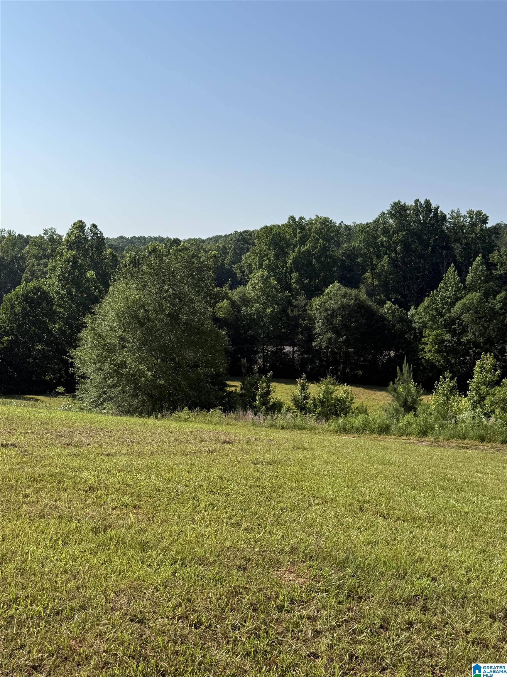 2nd image of 0 County Road 450, Fruithurst, AL 36262 | MLS# 21457747
