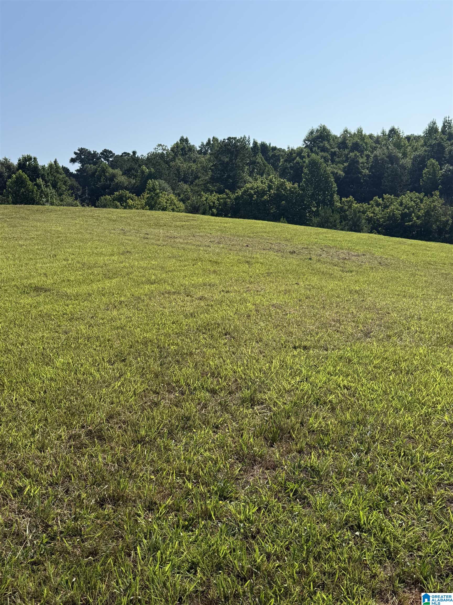 3rd image of 0 County Road 450, Fruithurst, AL 36262 | MLS# 21457747