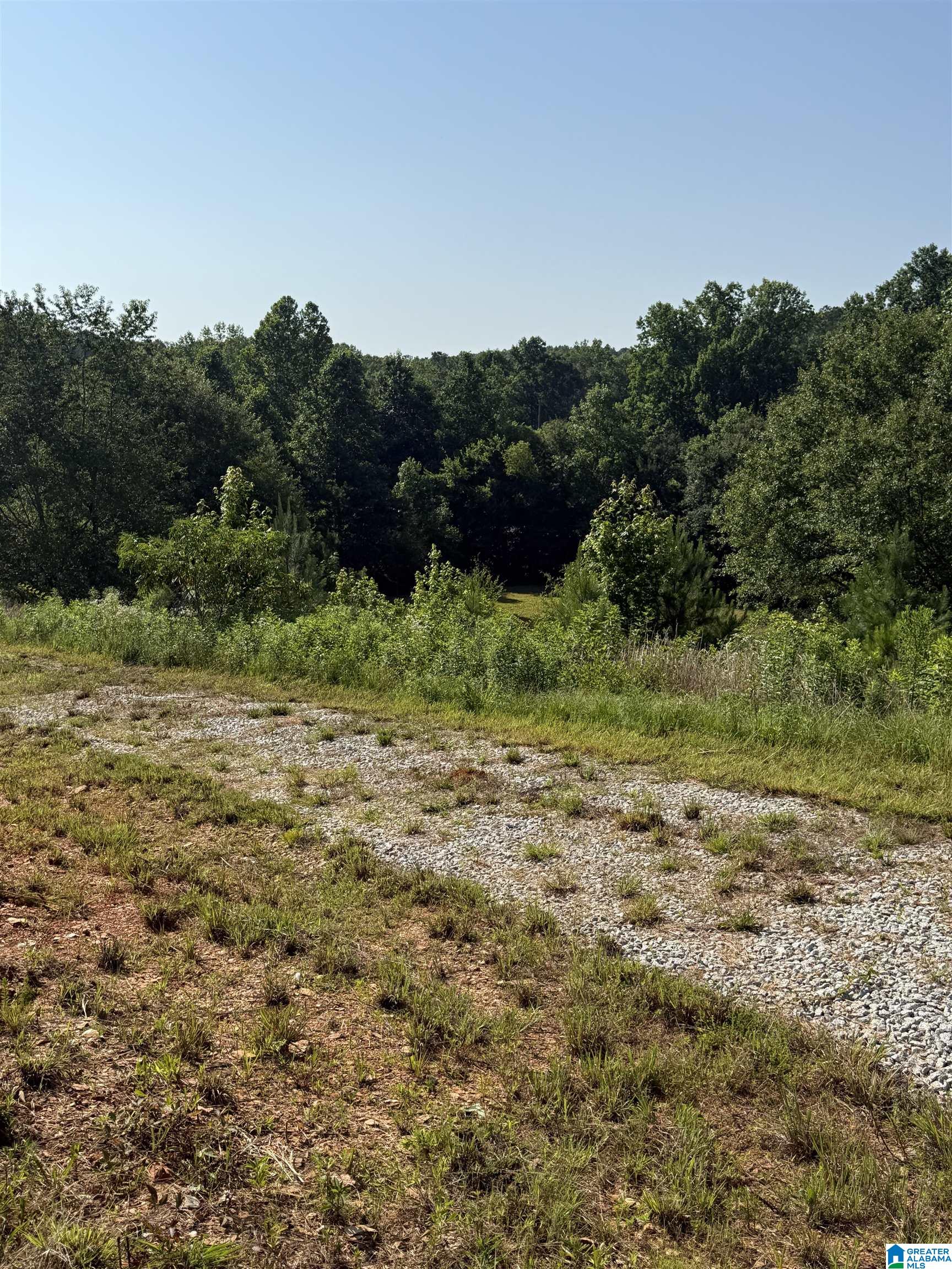 4th image of 0 County Road 450, Fruithurst, AL 36262 | MLS# 21457747