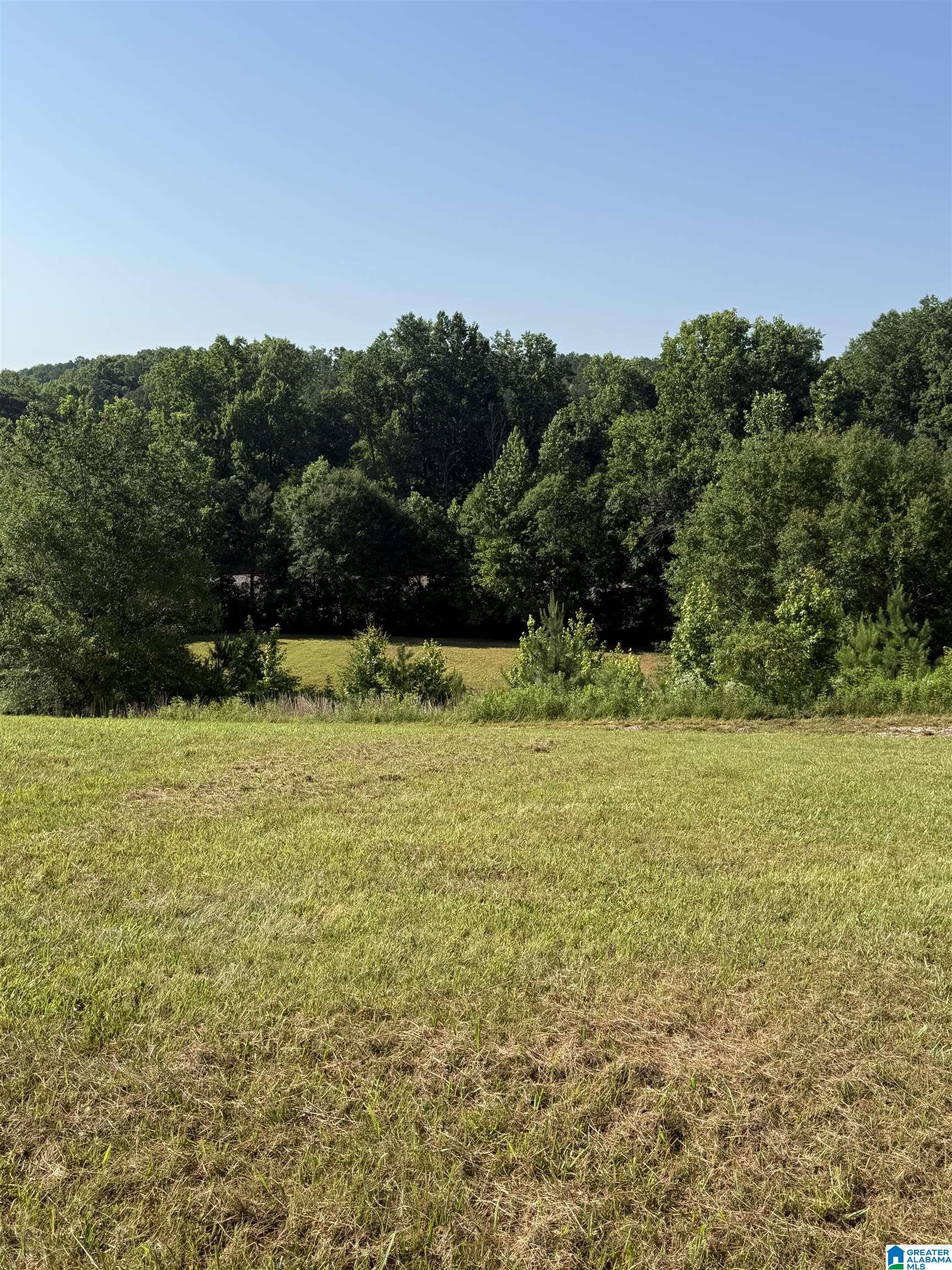 5th image of 0 County Road 450, Fruithurst, AL 36262 | MLS# 21457747