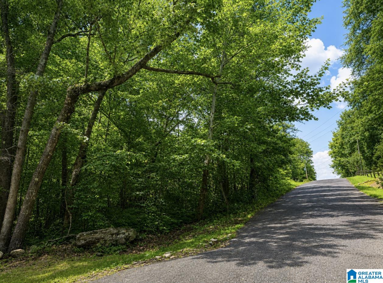 2nd image of 6838 Oak Leaf Lane, Pinson, AL 35126 | MLS# 21457838