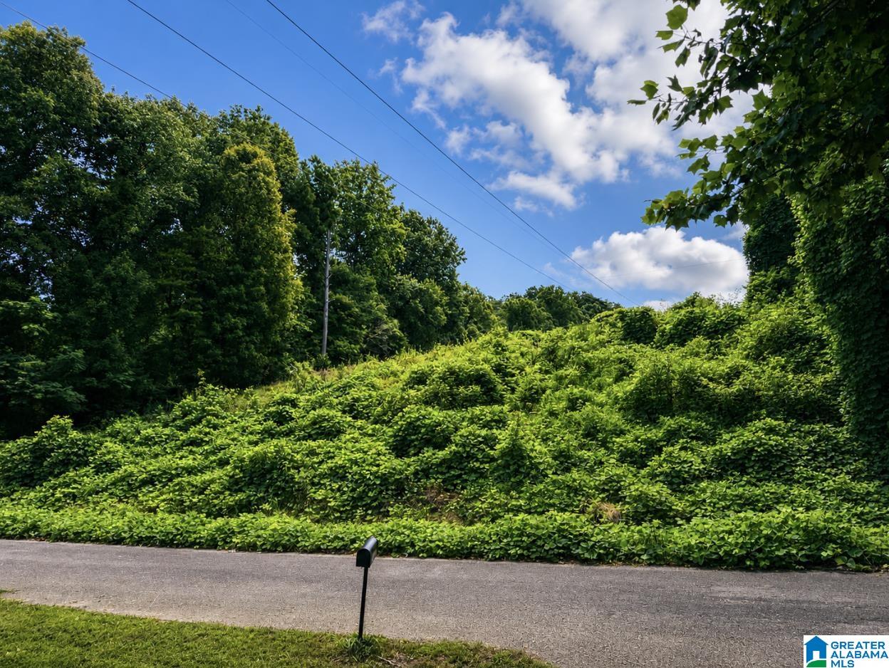 Photo 2 of Land for sale at 416 Wadsworth Dr, Birmingham, AL 35214 | MLS# 21457839 | Listing updated on 2026-07-02