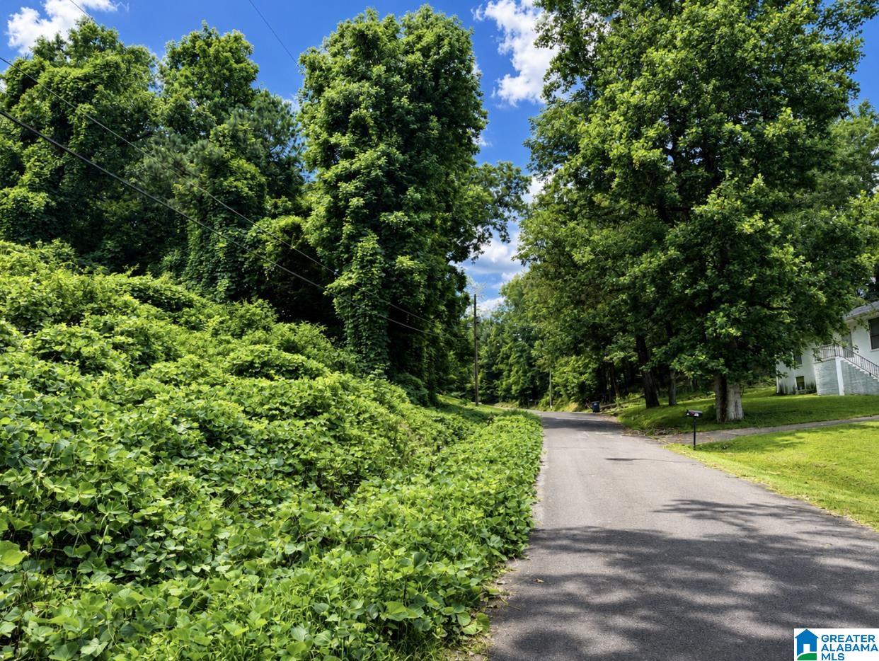 Photo 4 of Land for sale at 416 Wadsworth Dr, Birmingham, AL 35214 | MLS# 21457839 | Listing updated on 2026-07-02