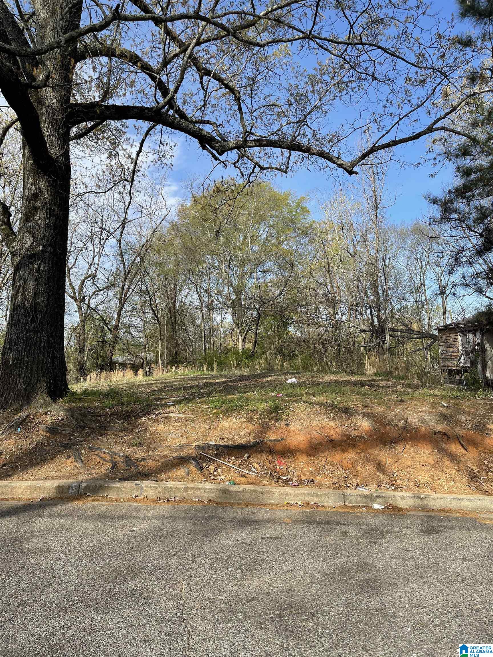 Photo 1 of Land for sale at 7232 Paris Ave, Birmingham, AL 35206 | MLS# 21457852 | Listing updated on 2026-07-02