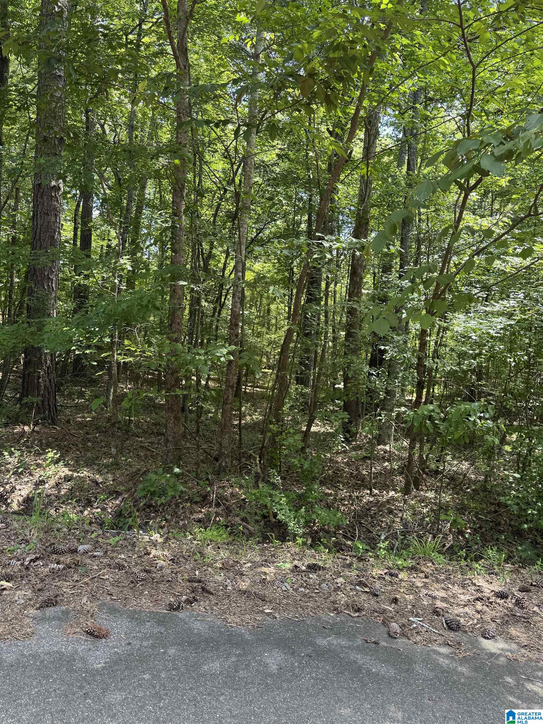 1st image of 8596 Woodview Lane, Pinson, AL 35126 | MLS# 21457960