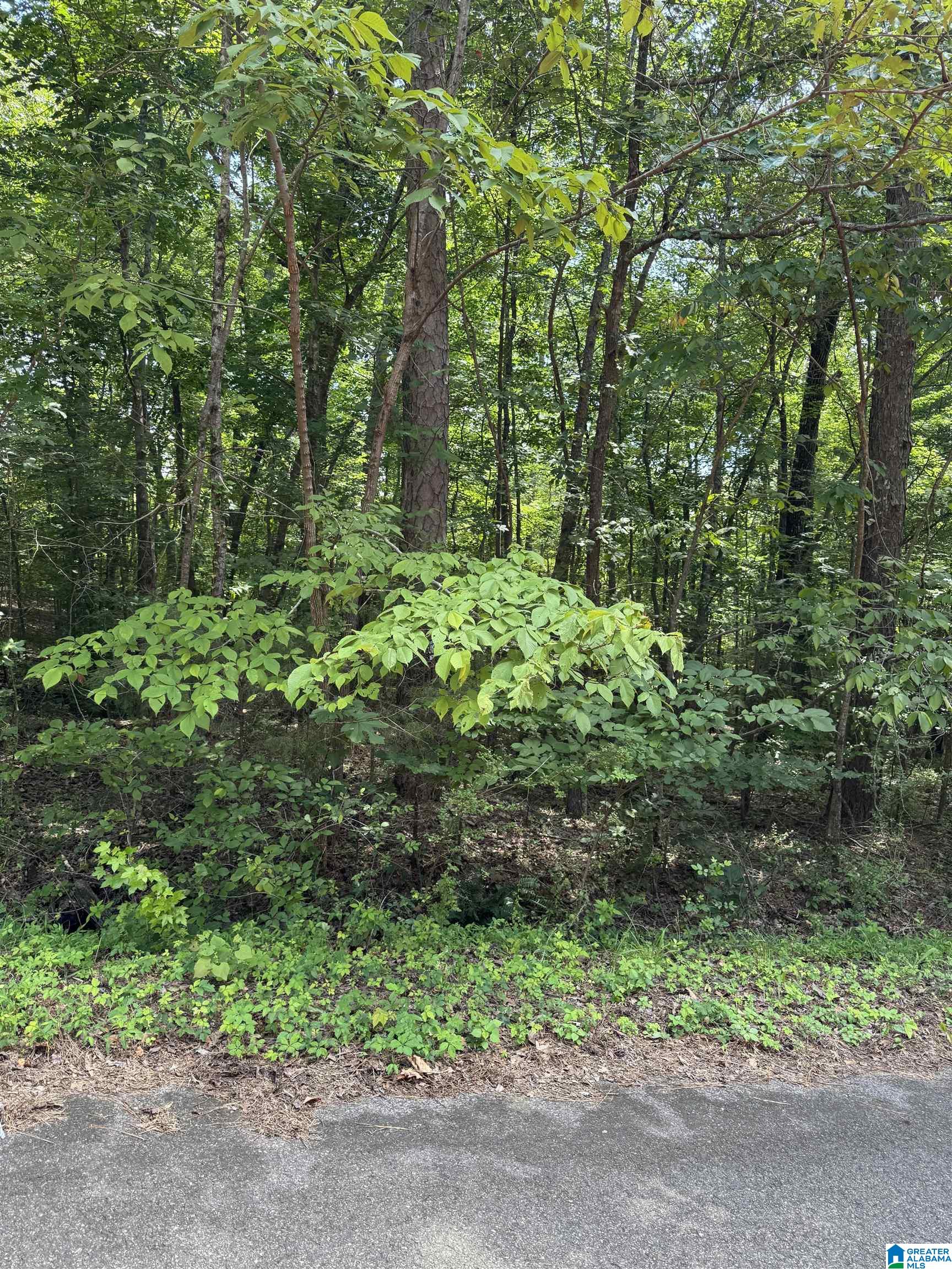 2nd image of 8596 Woodview Lane, Pinson, AL 35126 | MLS# 21457960