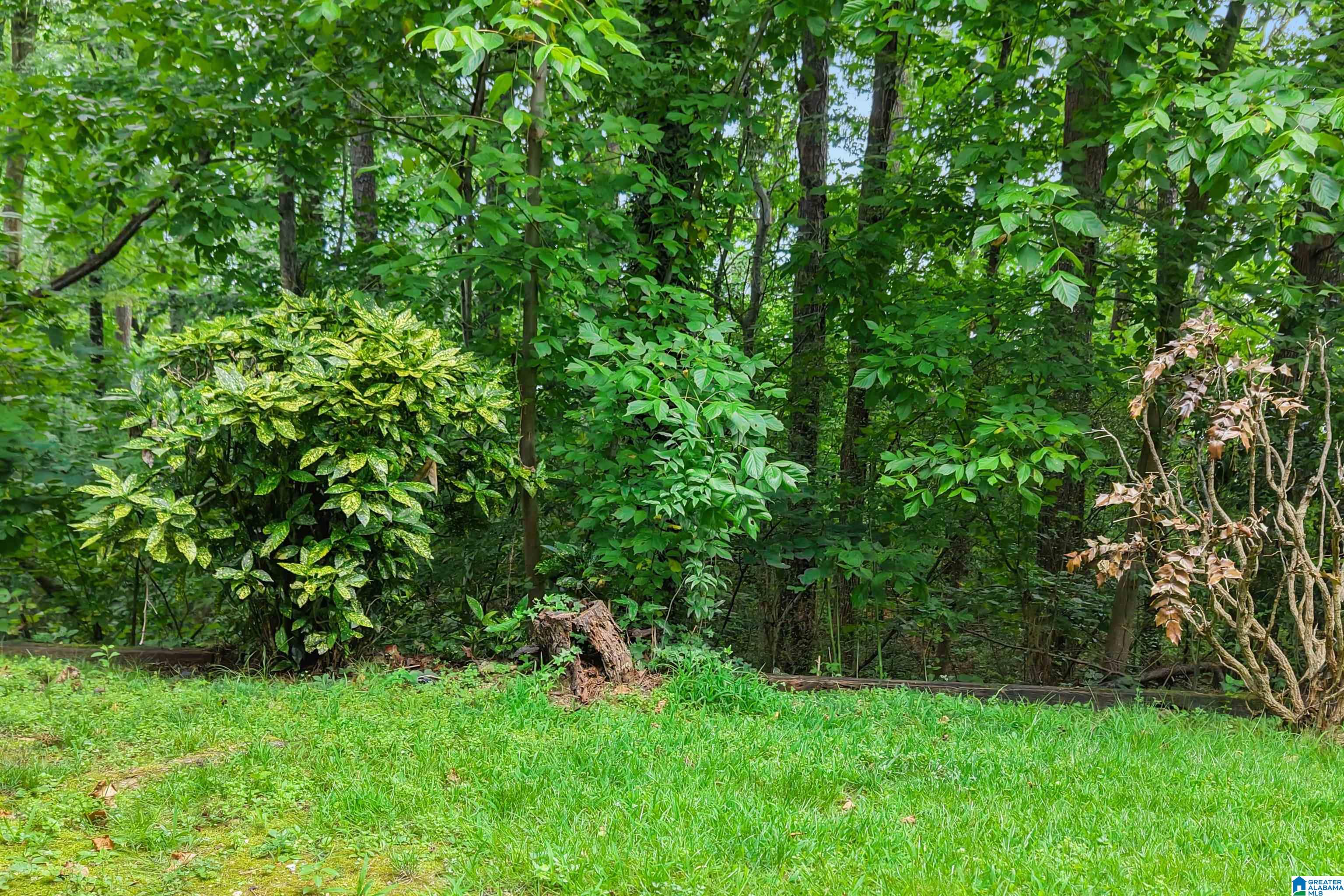 29th image of 1916 Shades Cliff Terrace #B, Homewood, AL 35209 | MLS# 21458168