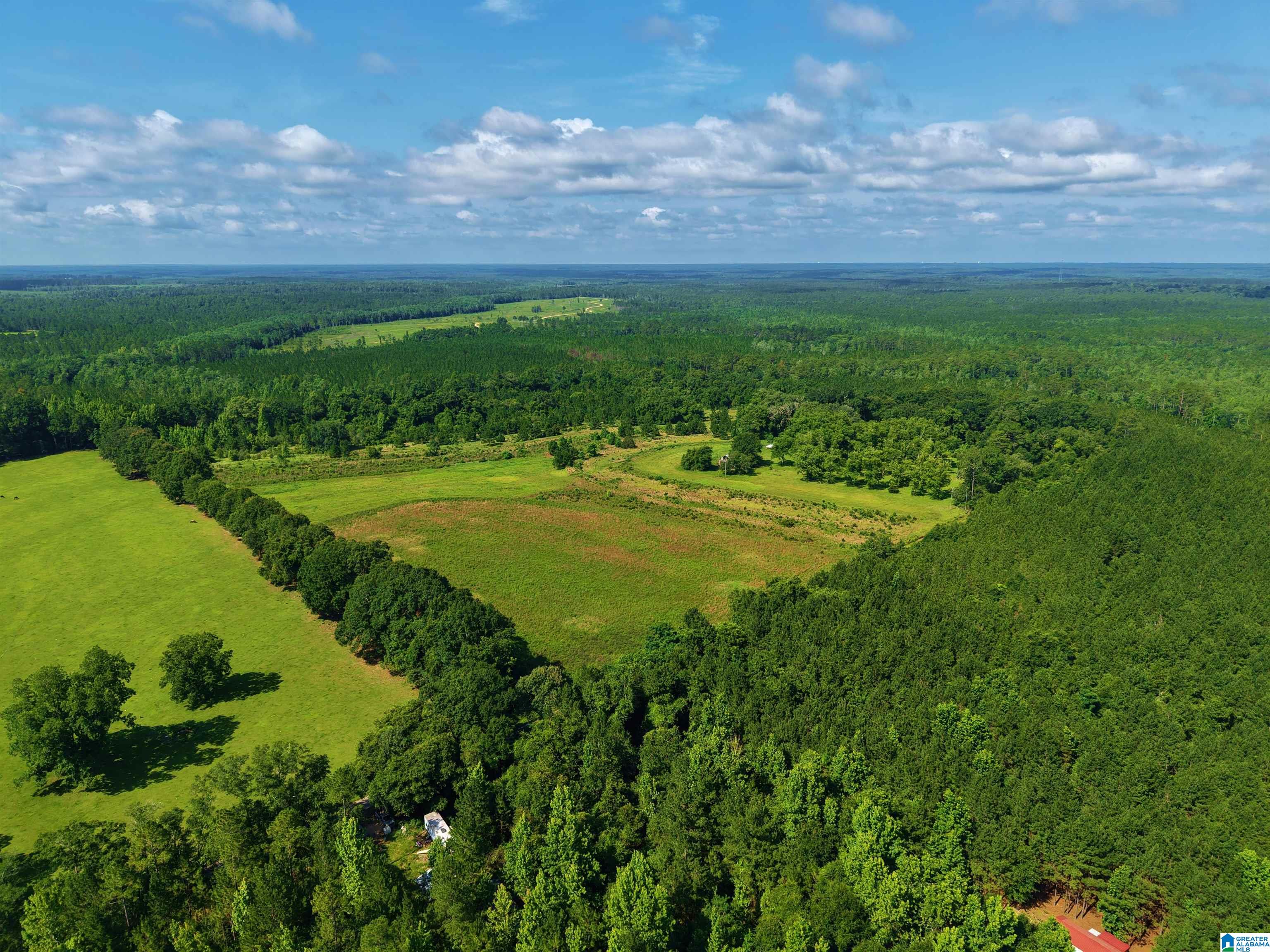 Photo 1 of Land for sale at 22880 Old Weekly Rd, Bay Minette, AL 36507 | MLS# 21458176 | Listing updated on 2026-07-06