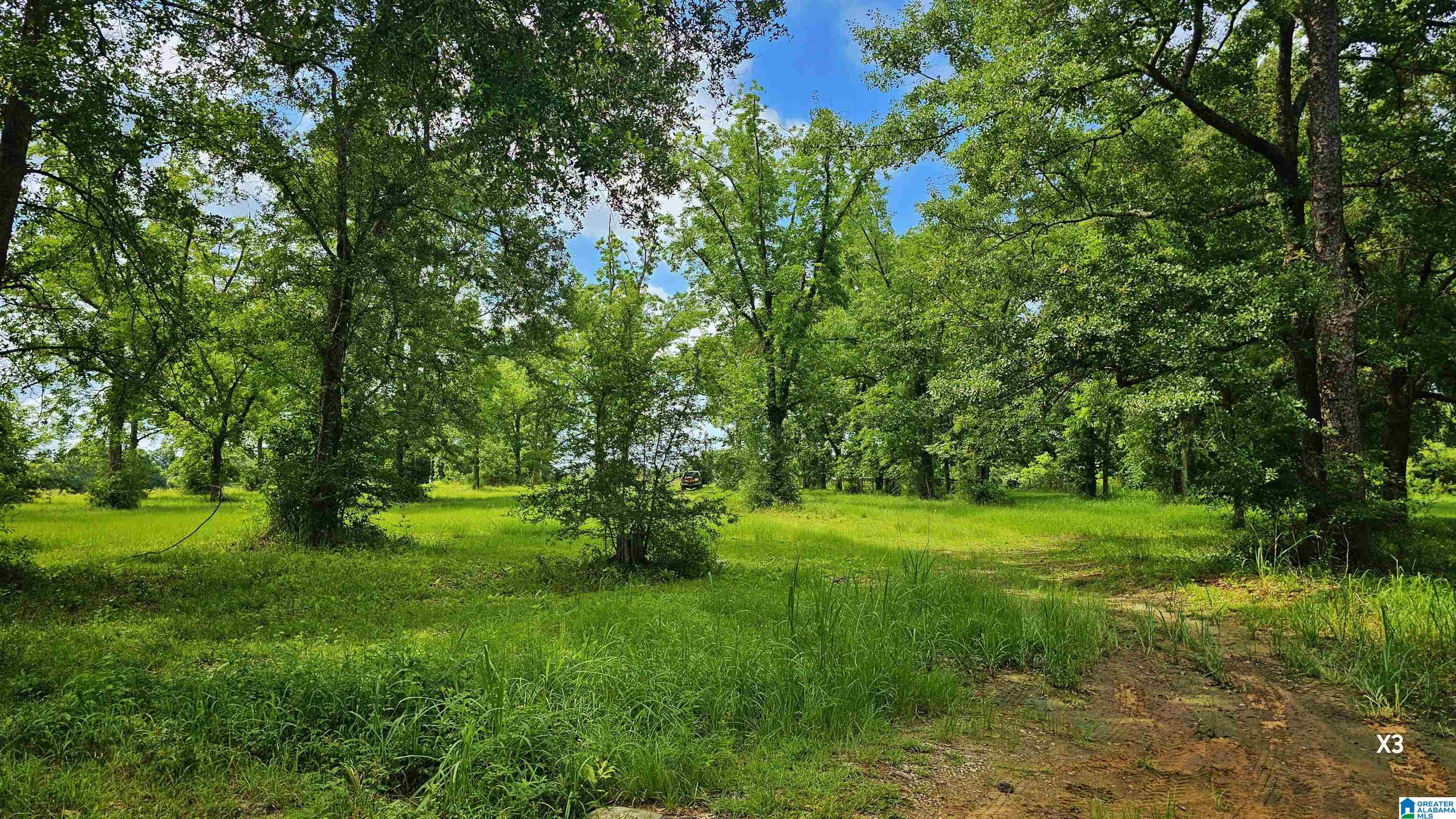 Photo 2 of Land for sale at 22880 Old Weekly Rd, Bay Minette, AL 36507 | MLS# 21458176 | Listing updated on 2026-07-06