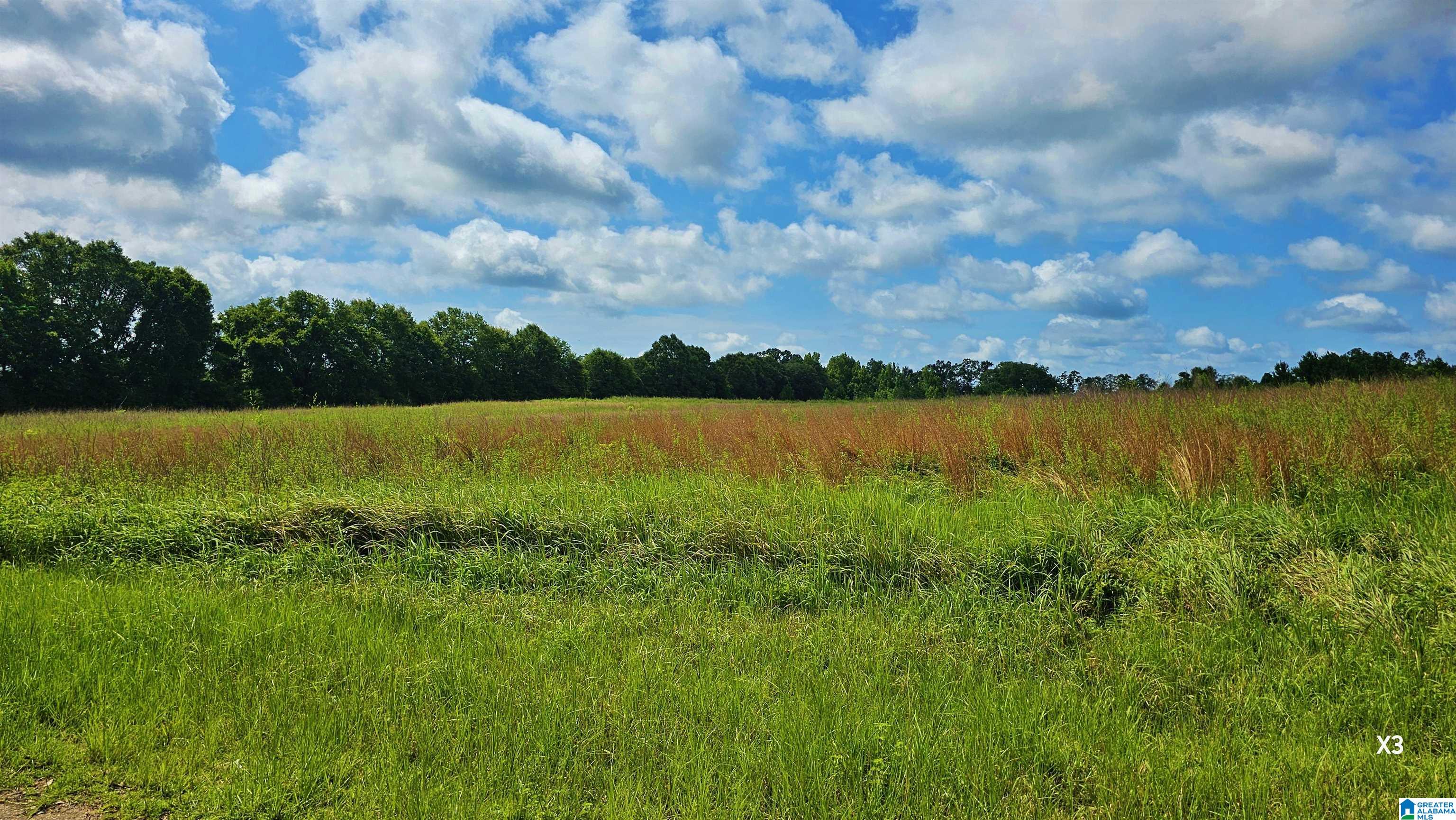 Photo 3 of Land for sale at 22880 Old Weekly Rd, Bay Minette, AL 36507 | MLS# 21458176 | Listing updated on 2026-07-06