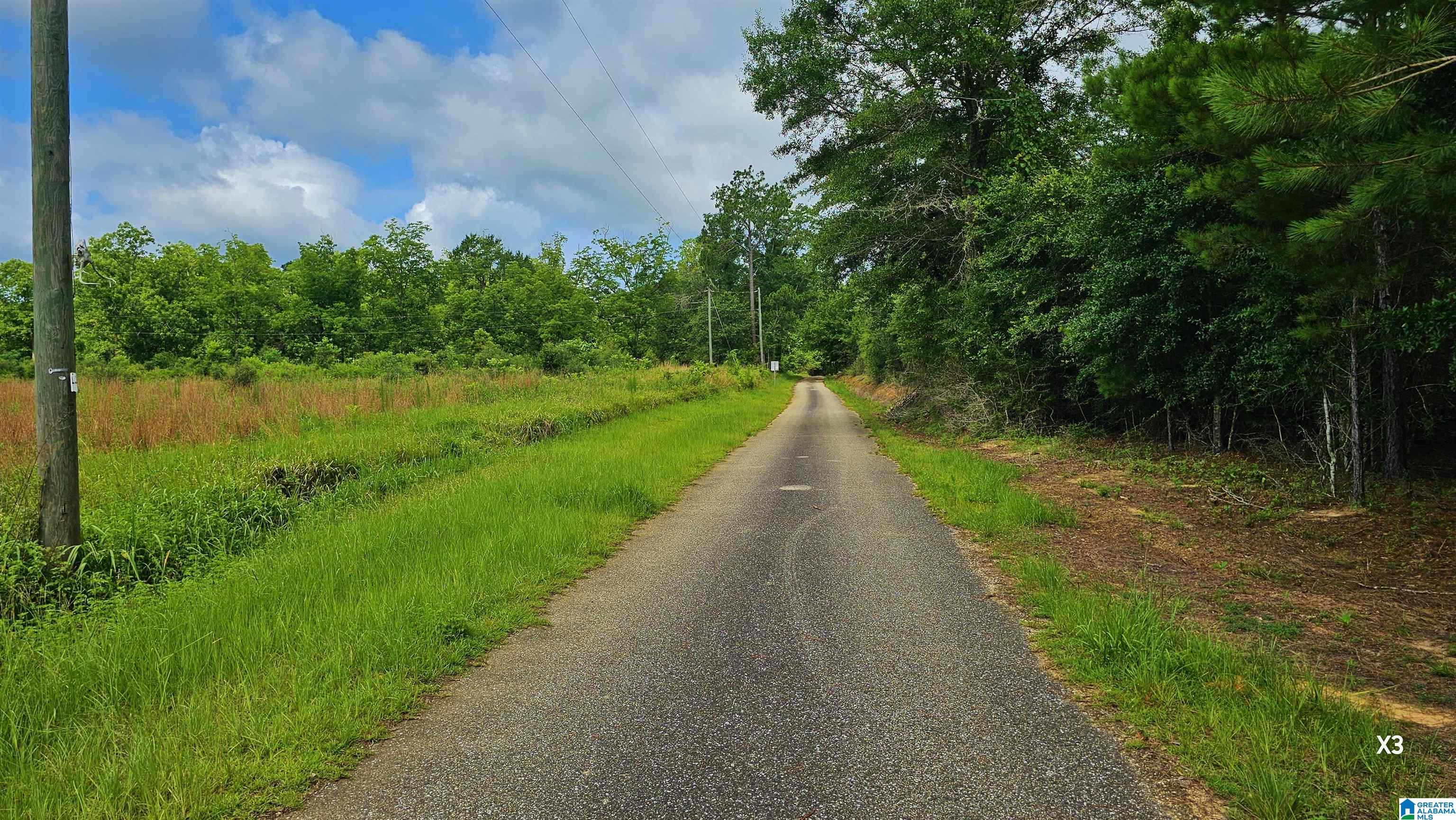 Photo 3 of Land for sale at 22880 Old Weekly Rd, Bay Minette, AL 36507 | MLS# 21458176 | Listing updated on 2026-07-06