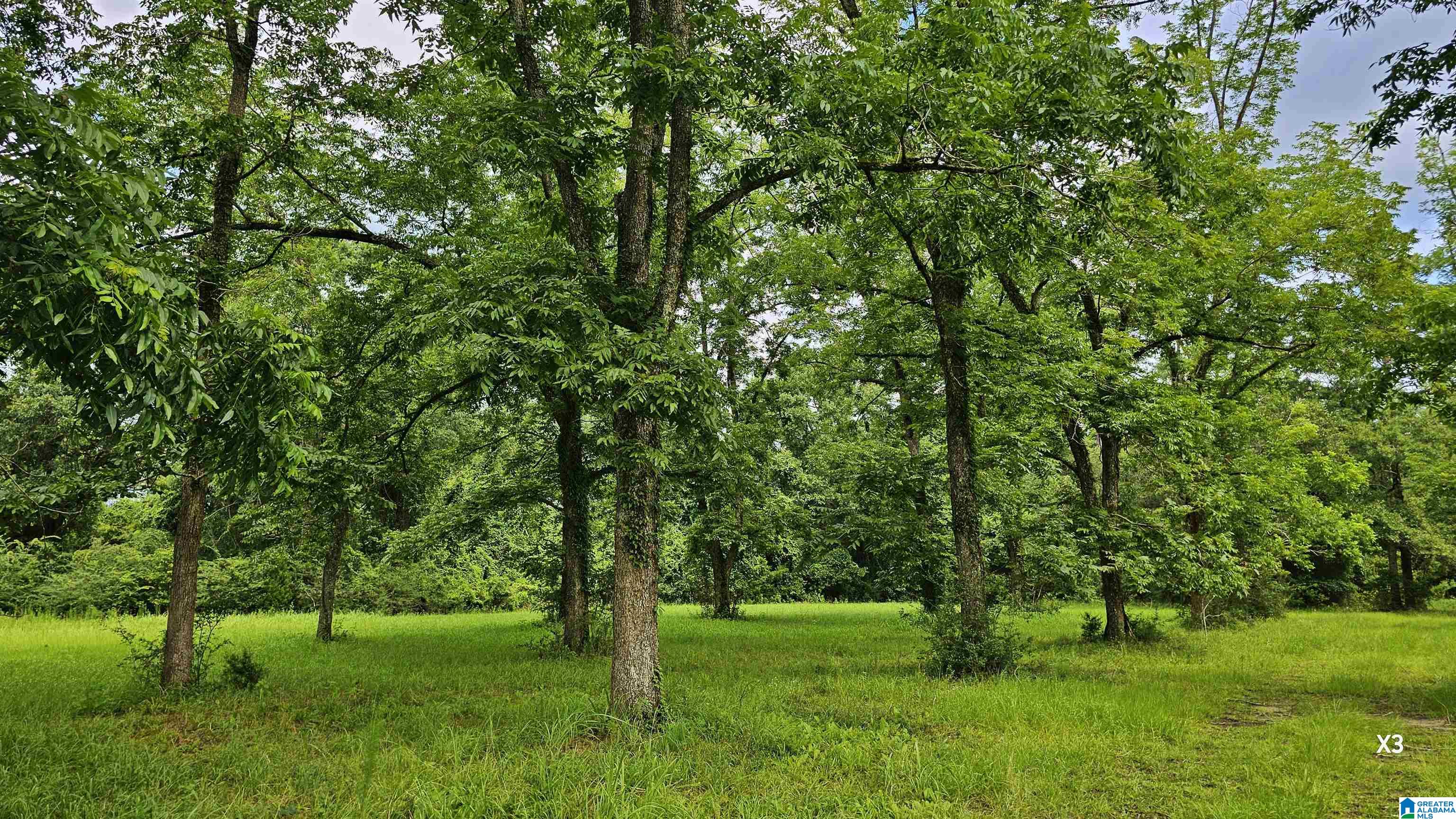 Photo 4 of Land for sale at 22880 Old Weekly Rd, Bay Minette, AL 36507 | MLS# 21458176 | Listing updated on 2026-07-06