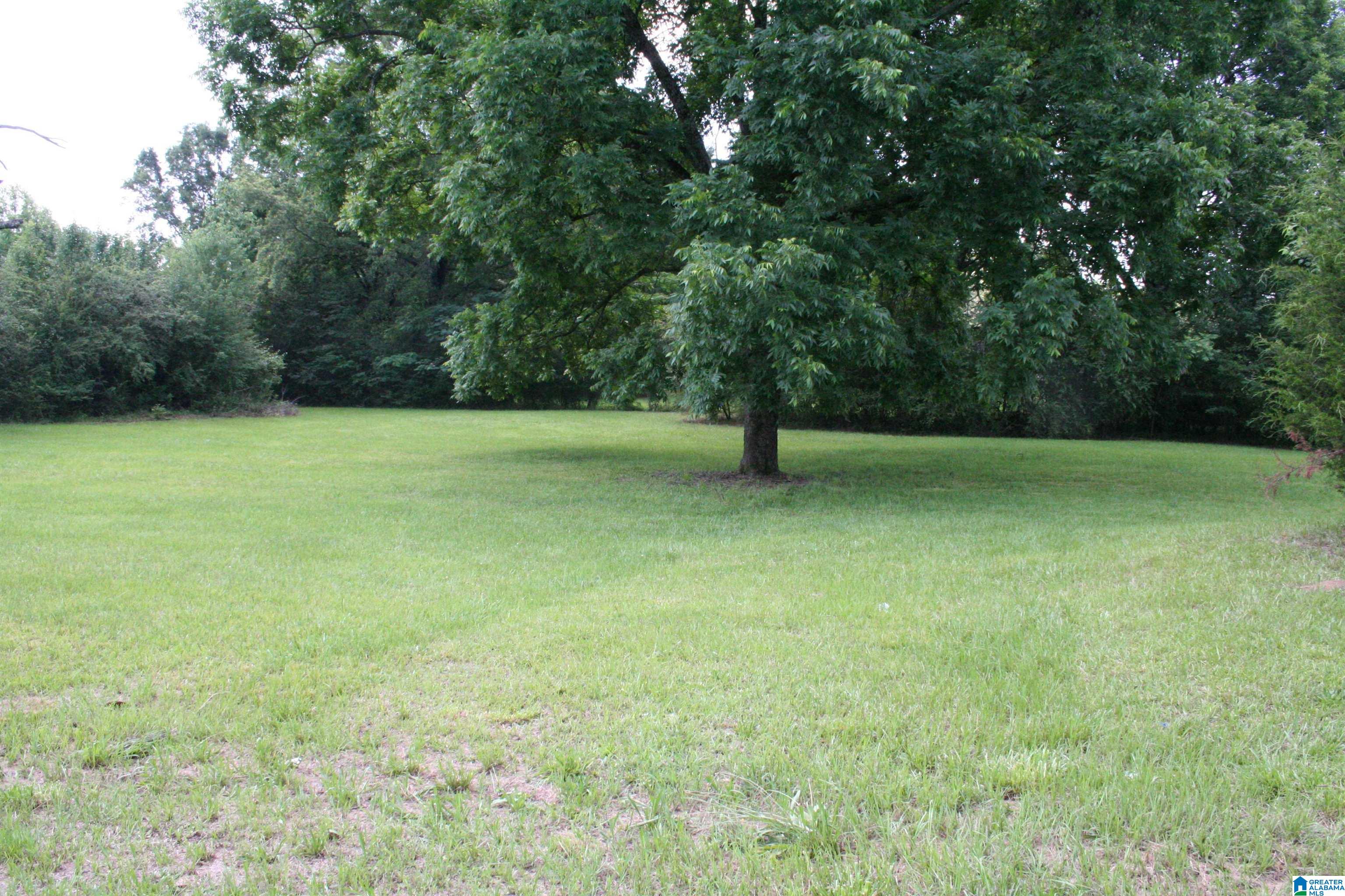 6096 WARRIOR RIVER ROAD