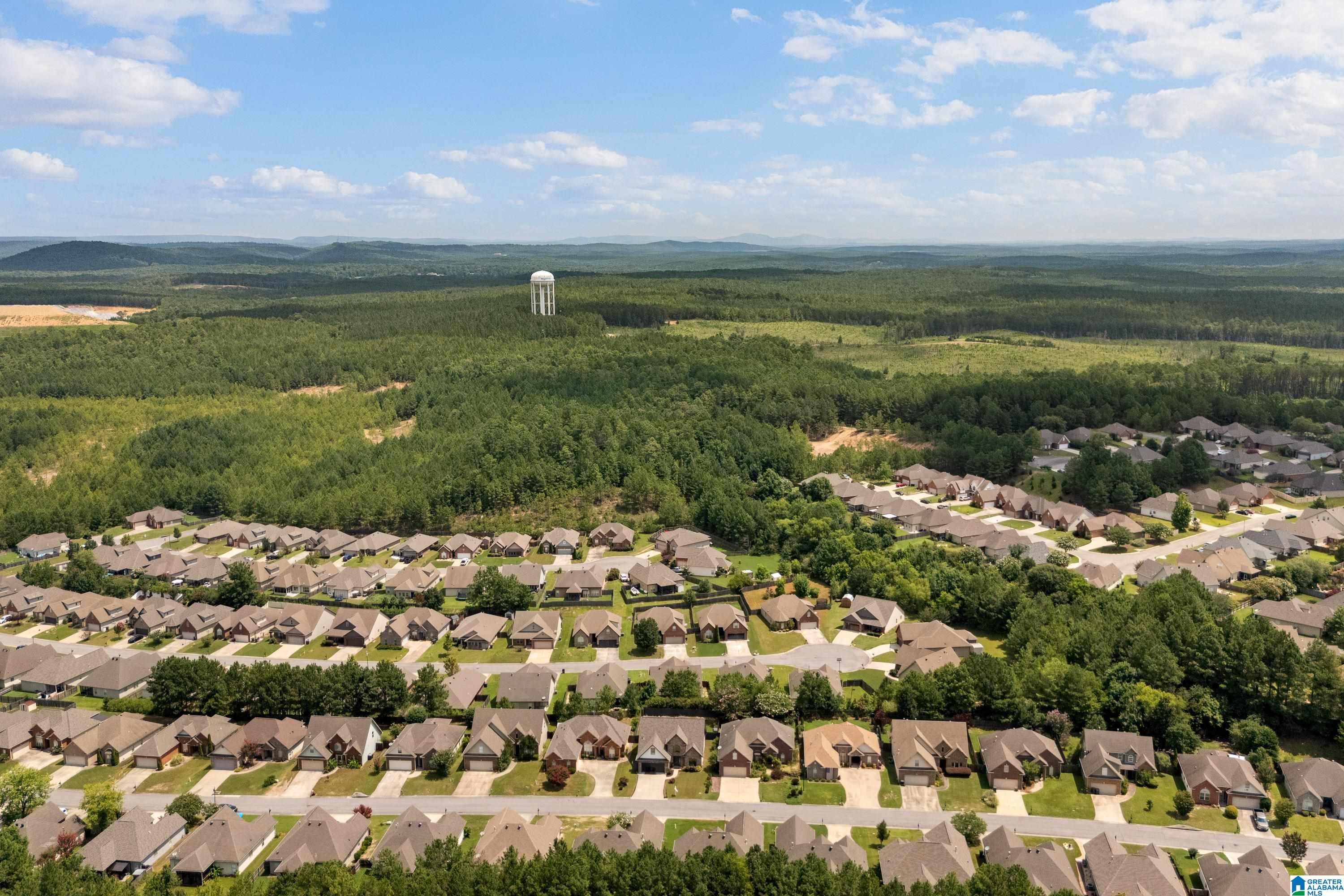 72nd image of 2016 Highview Way, Calera, AL 35040 | MLS# 21458337