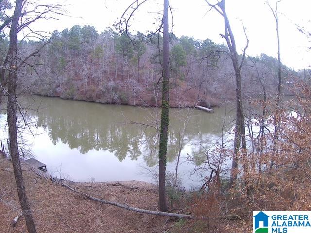 1st image of 1716 E County Road 465, Clanton, AL 35046 | MLS# 21458502