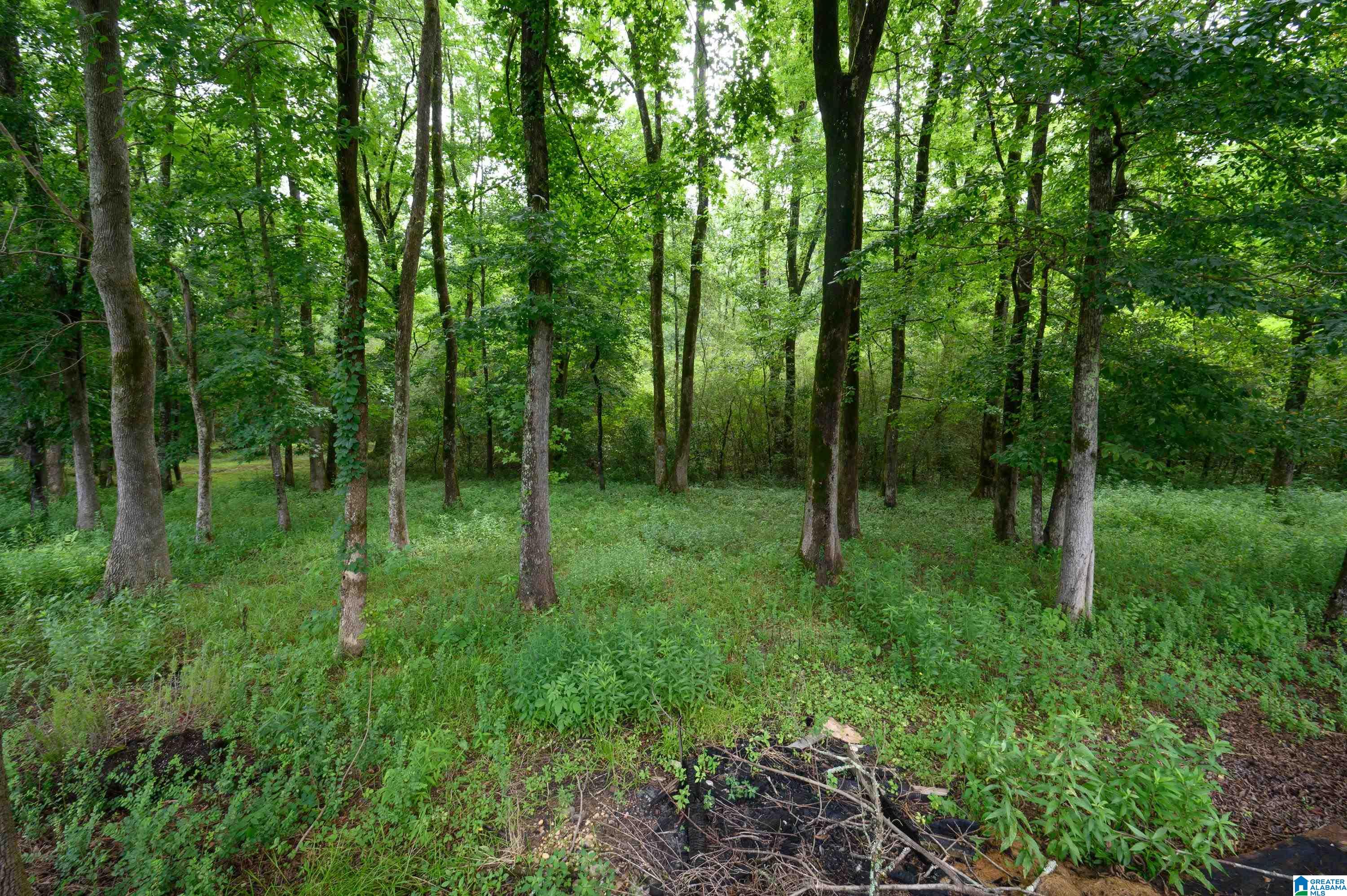 42nd image of 136 Sydney Lane, Chelsea, AL 35043 | MLS# 21458503