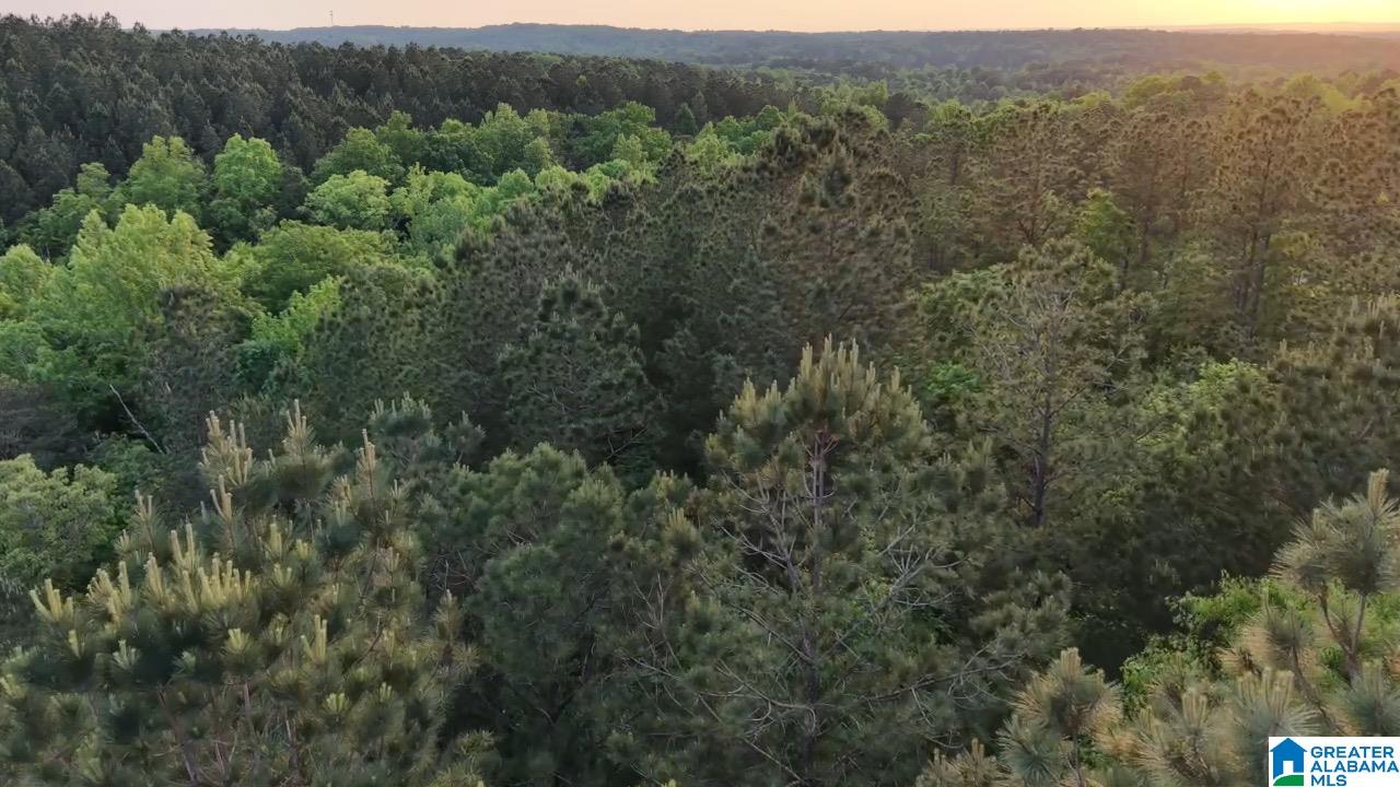 12th image of 90 County Road 478, Leeds, AL 35094 | MLS# 21458510